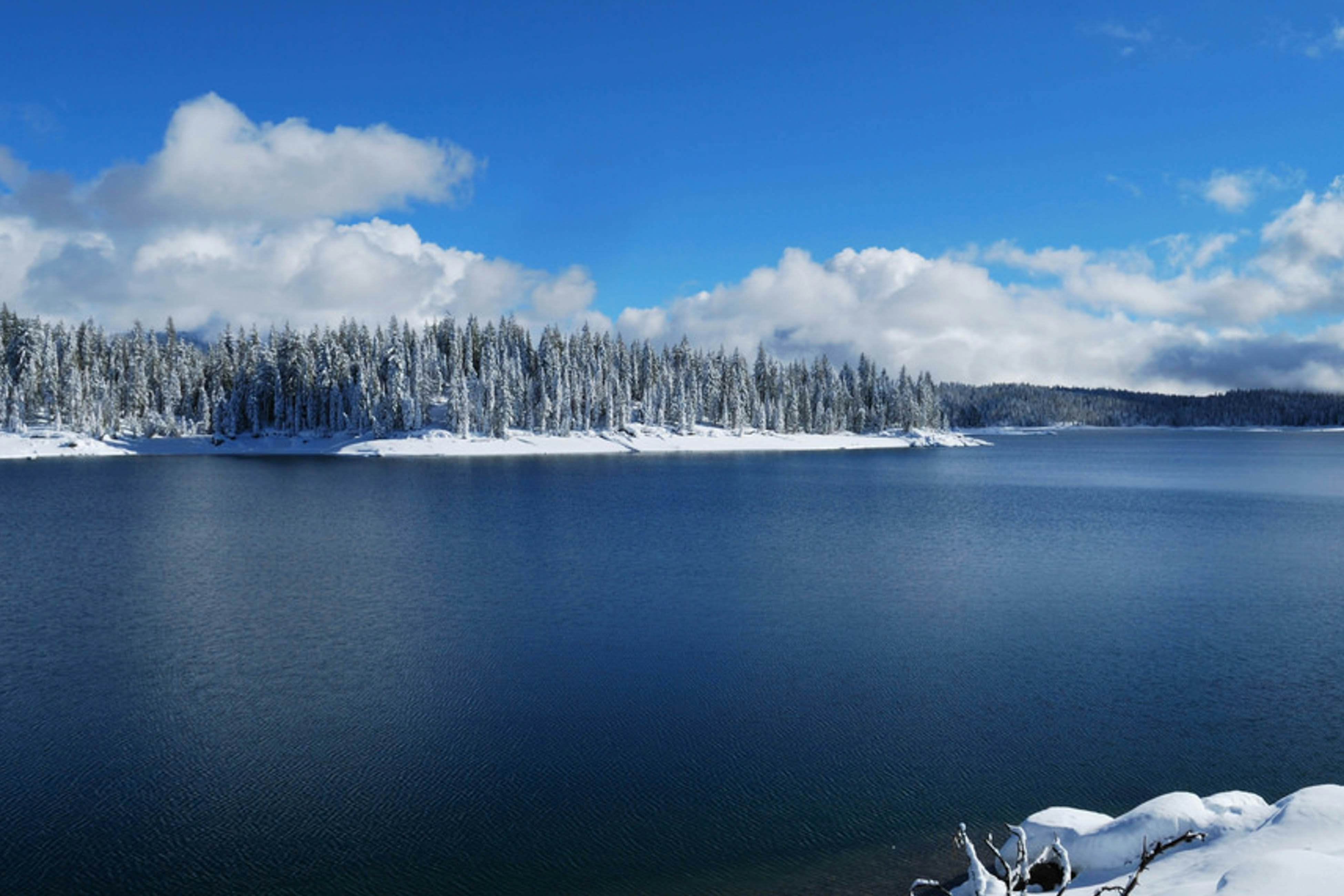 Blue Jay Condominium