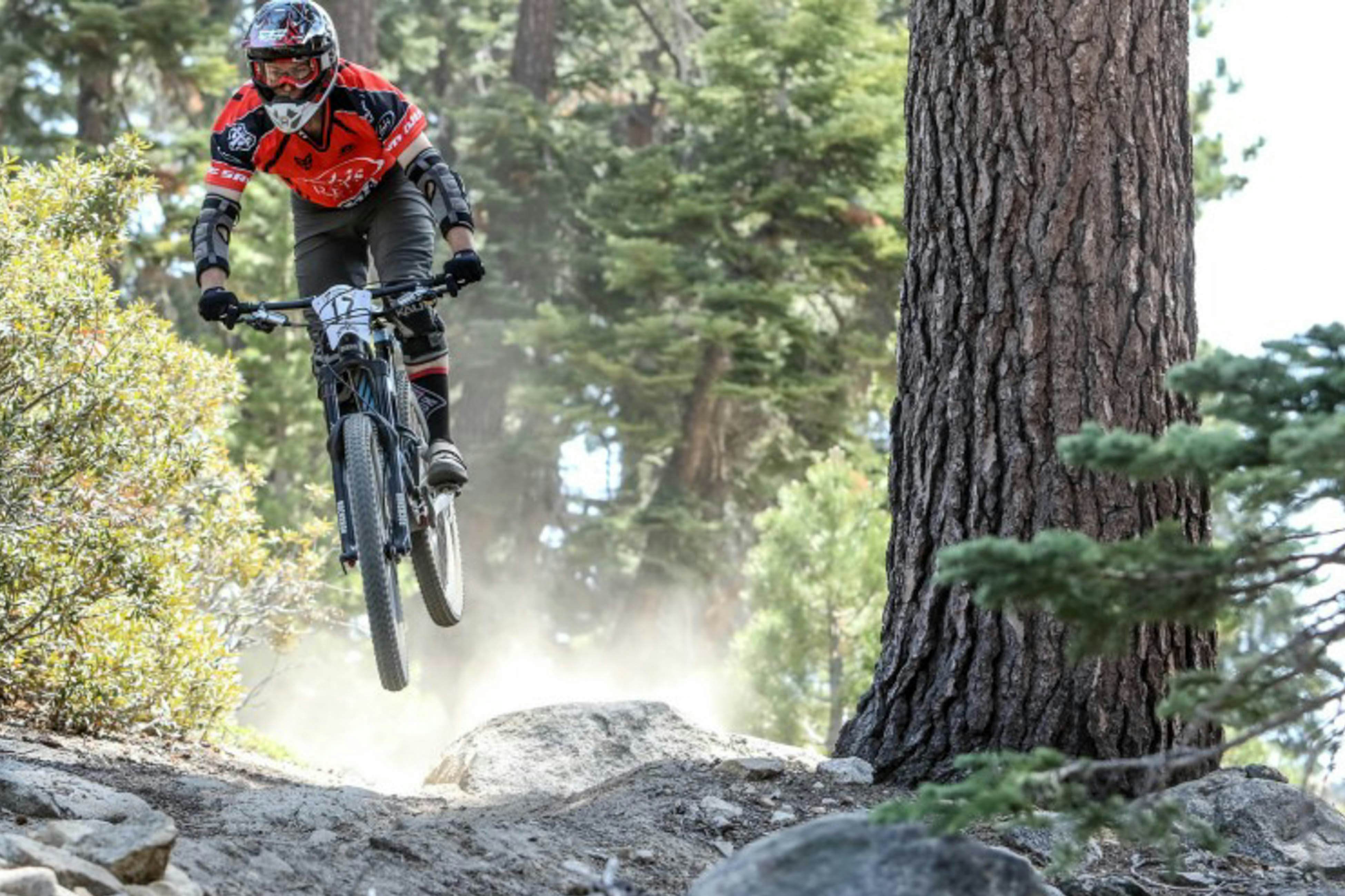 Blue Jay Condominium