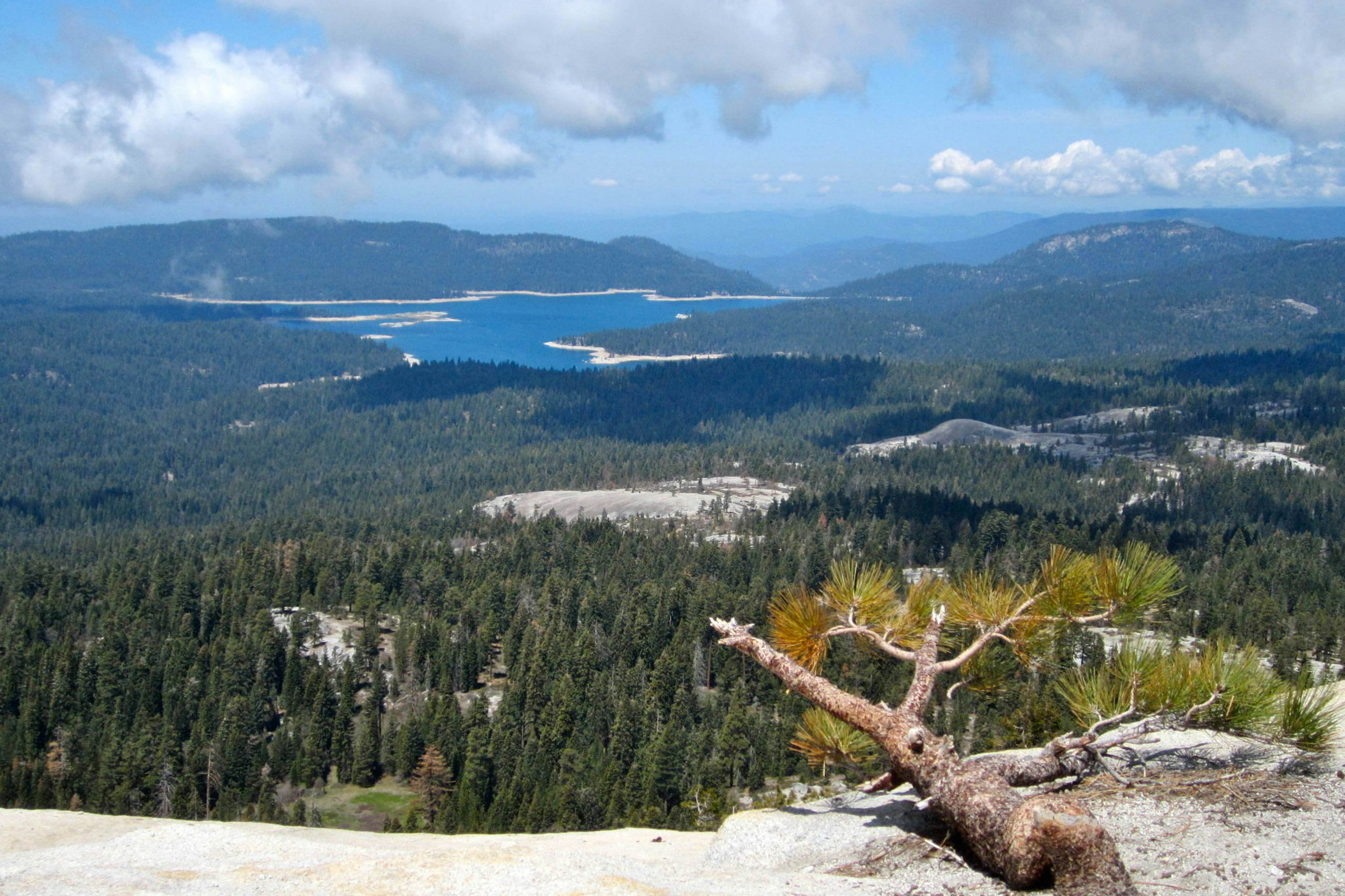 Blue Jay Condominium