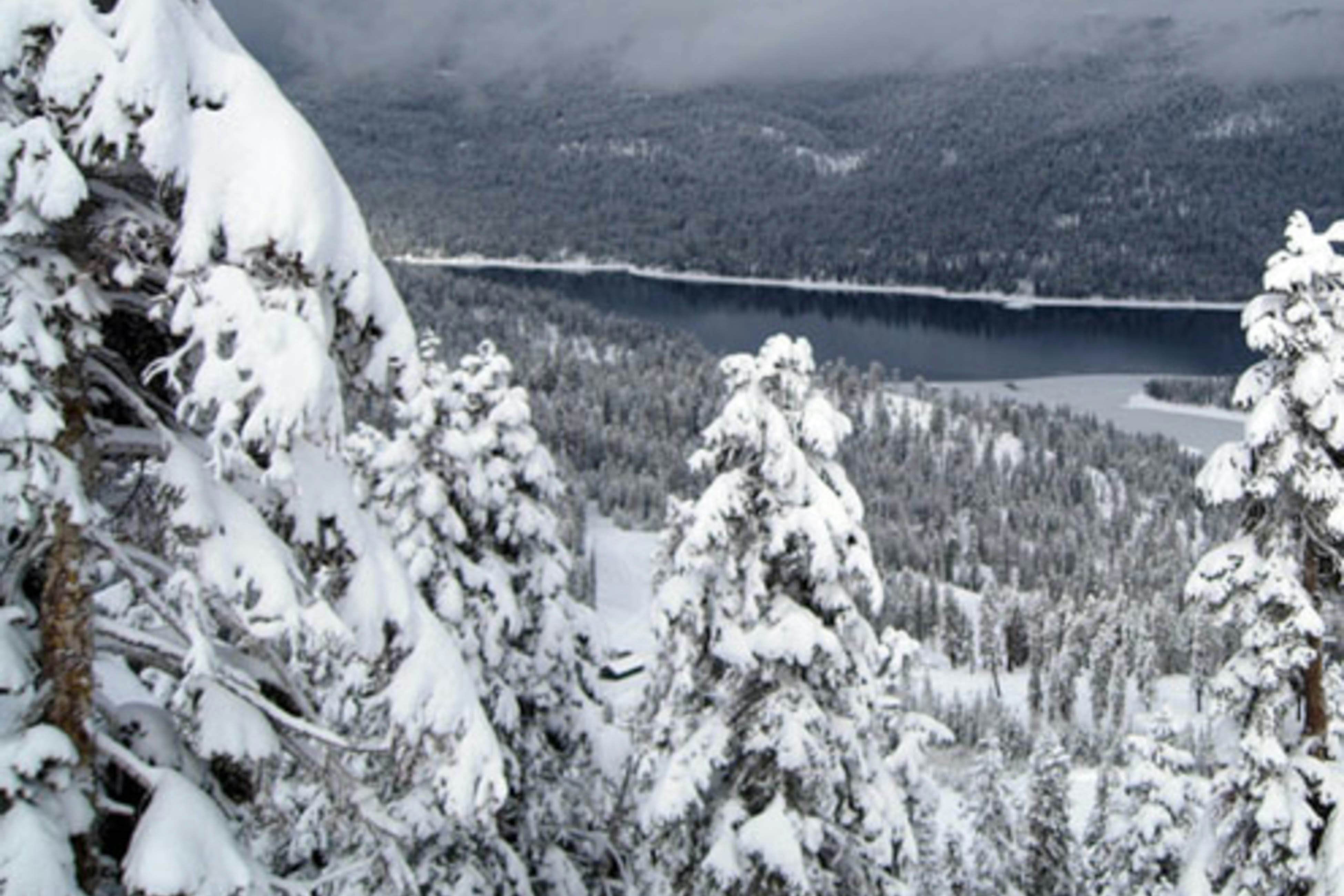 Blue Jay Condominium