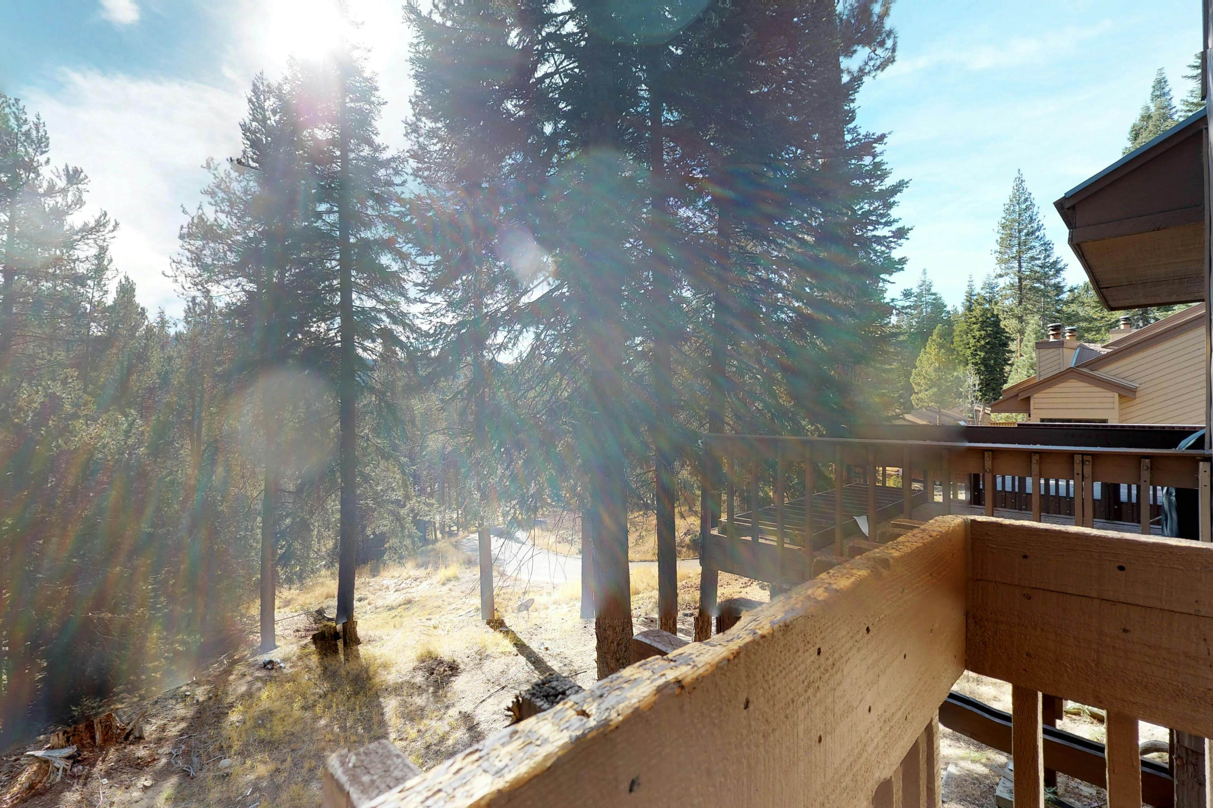 Blue Jay Condominium