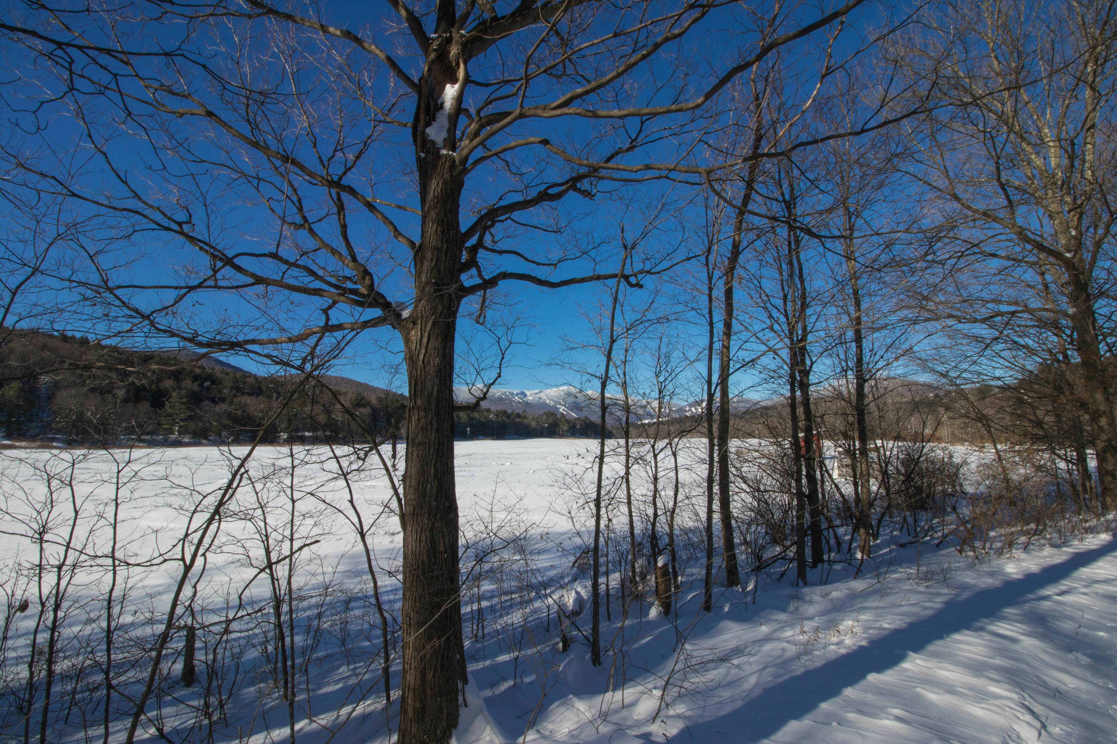 Cozy Stowe Village Retreat