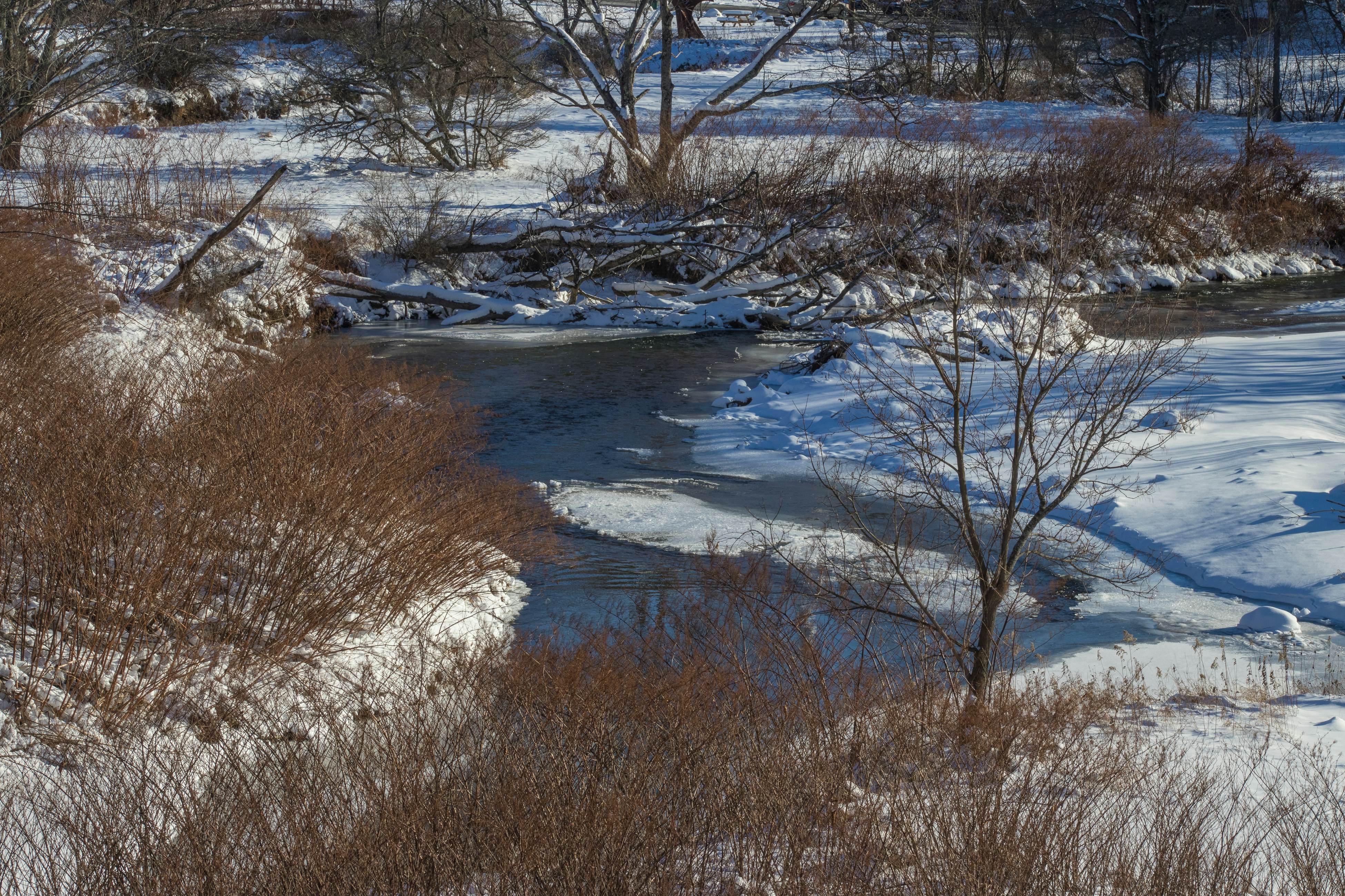 Cozy Stowe Village Retreat