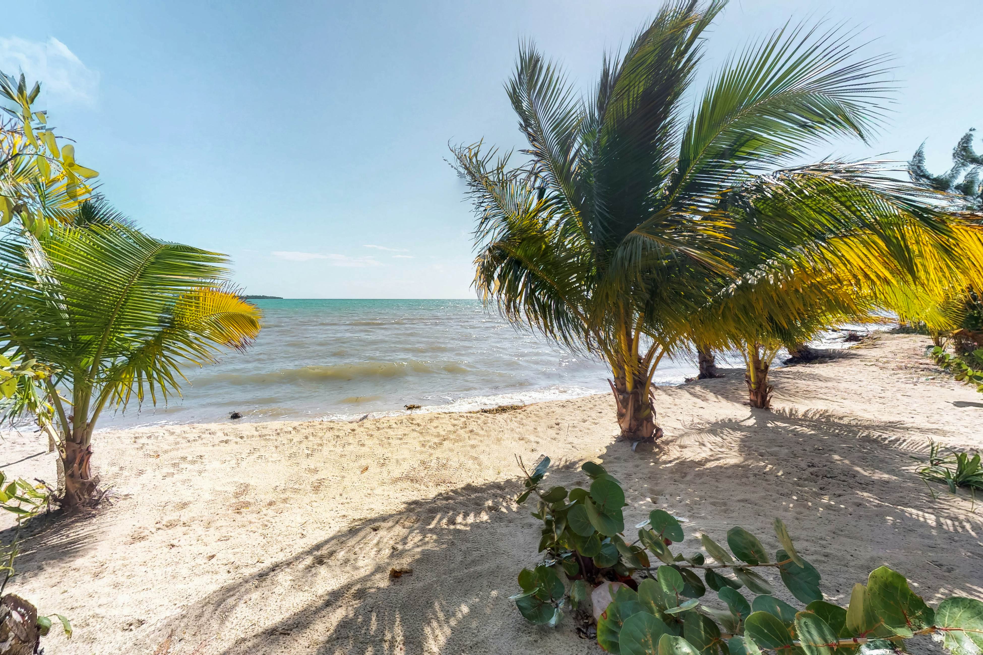 Turtle Studio Retreat at Swan Villas  -Gold Standard Certified