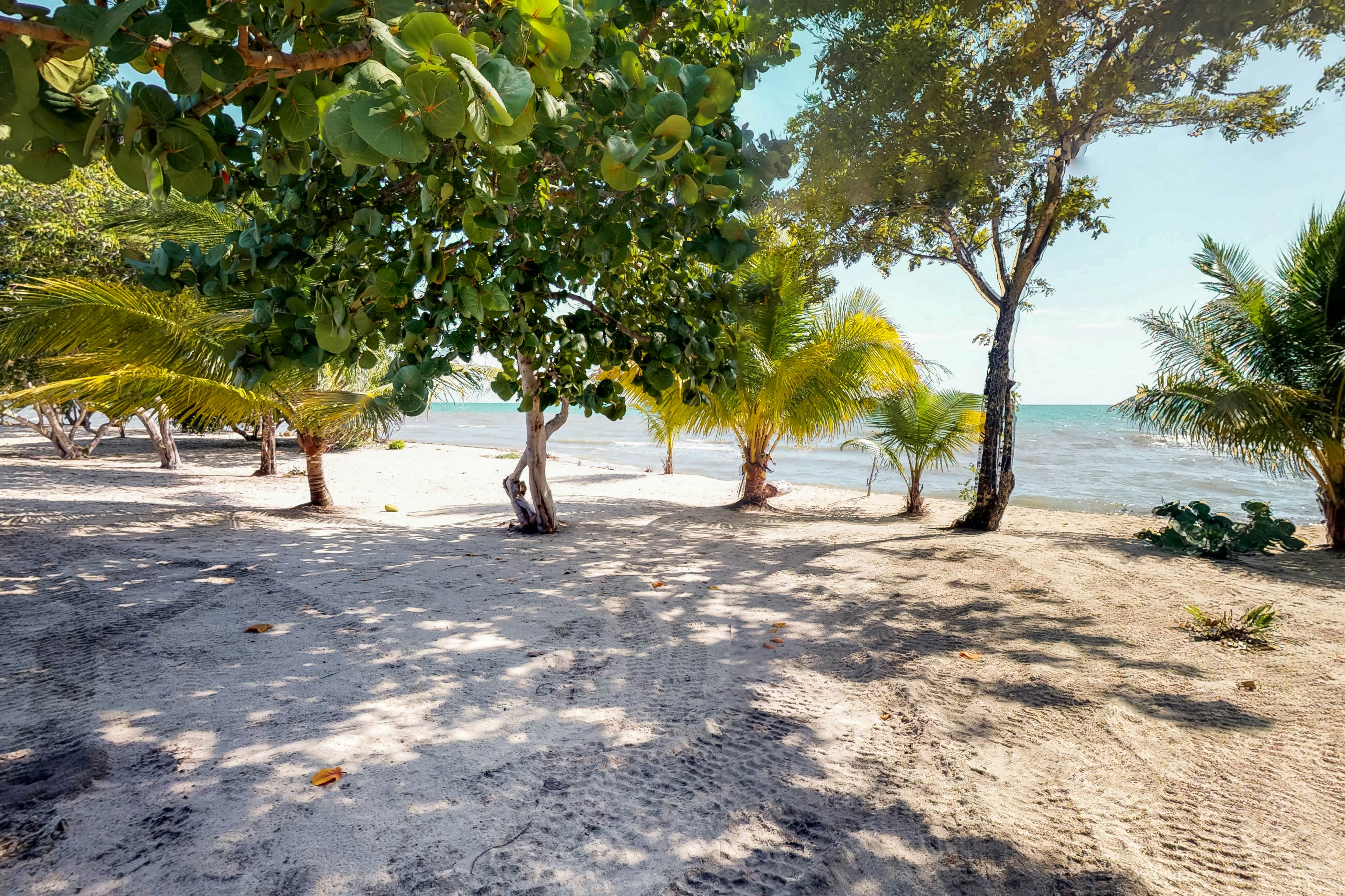 Turtle Studio Retreat at Swan Villas  -Gold Standard Certified