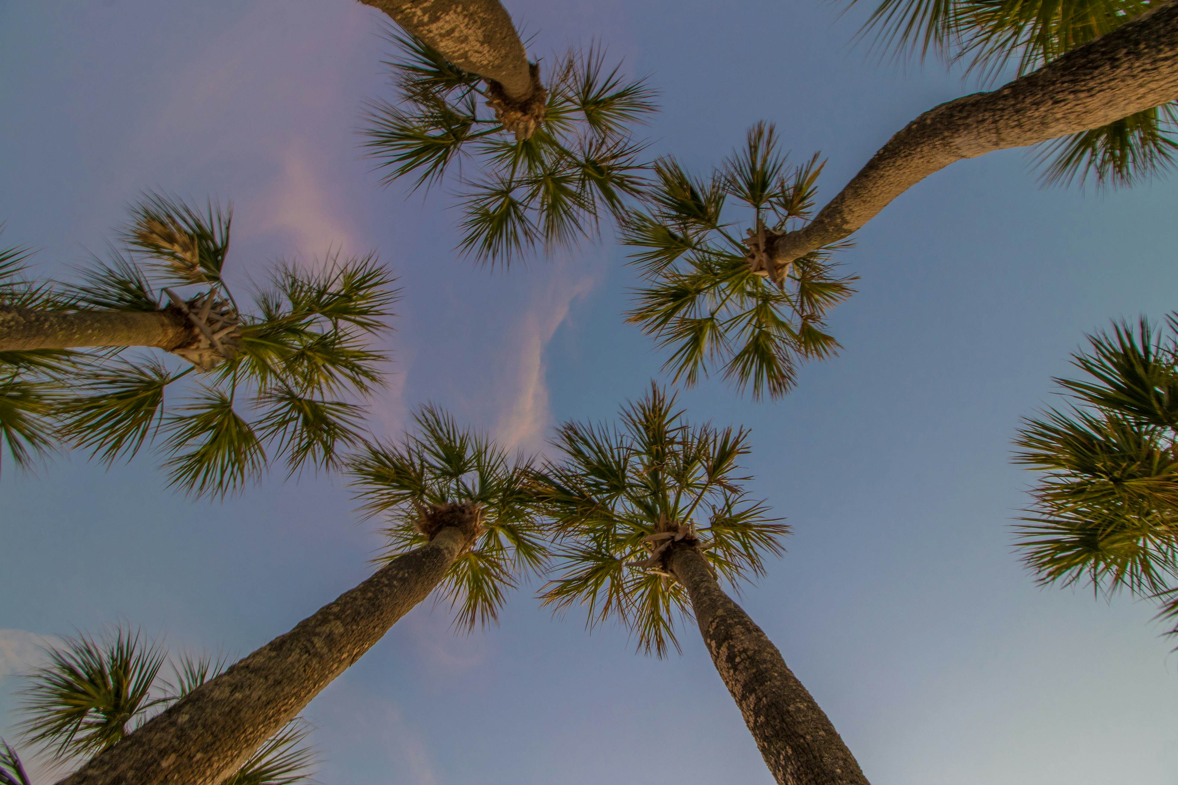 Blue Wave Villa West