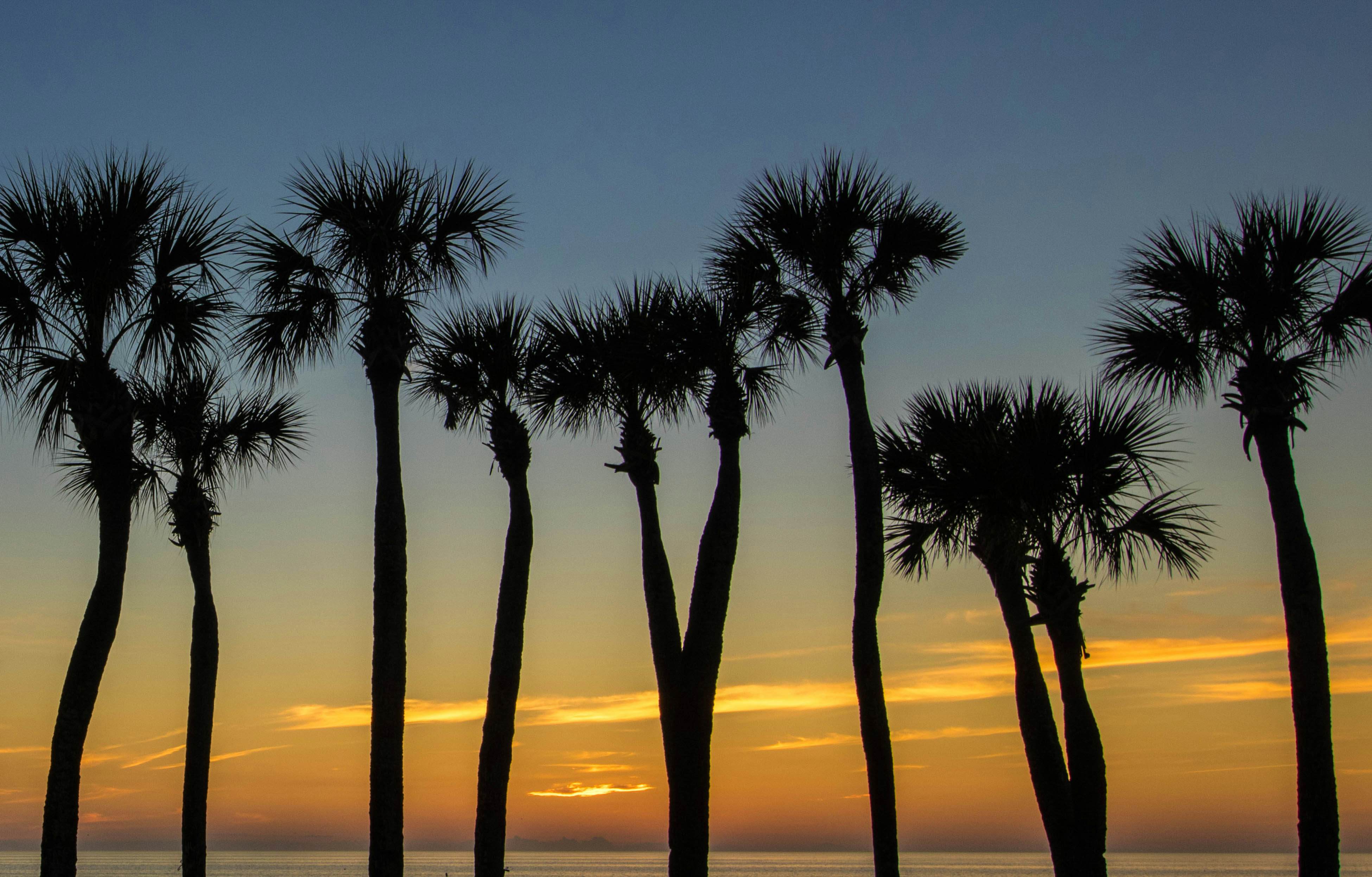 Anna Maria Island Club Unit 17S