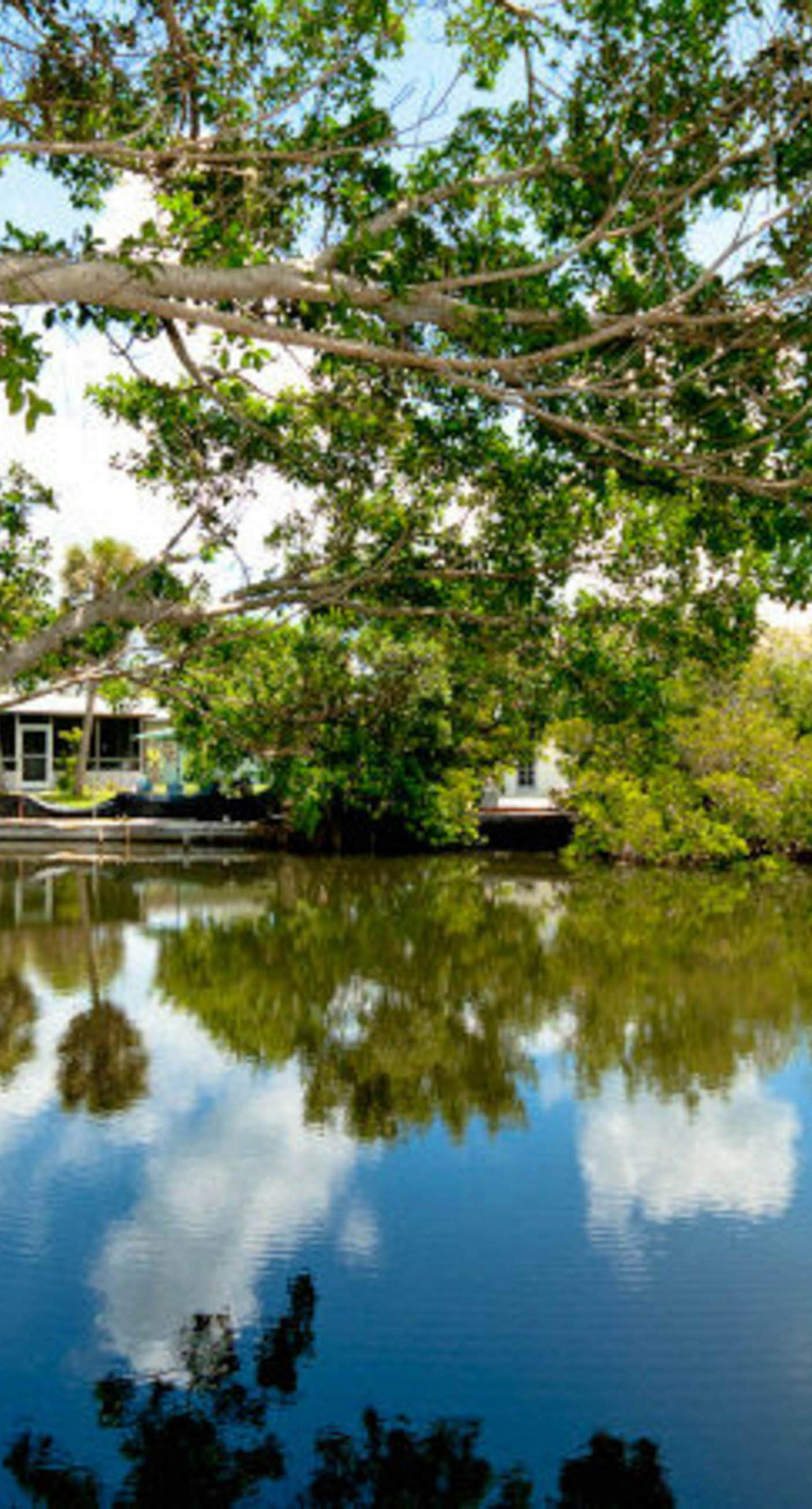 Spectacular Saltwater Seas