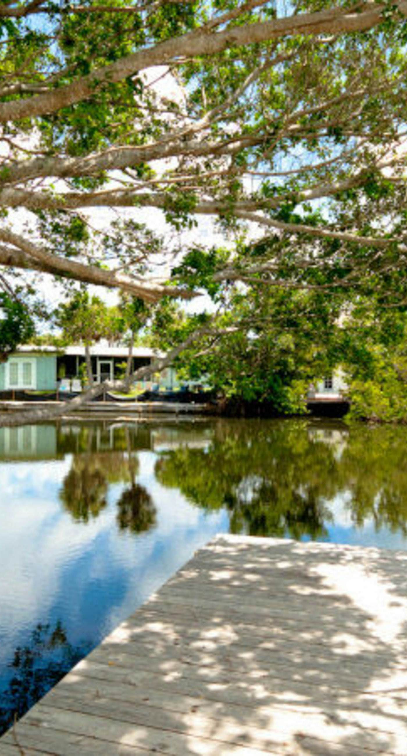 Spectacular Saltwater Seas