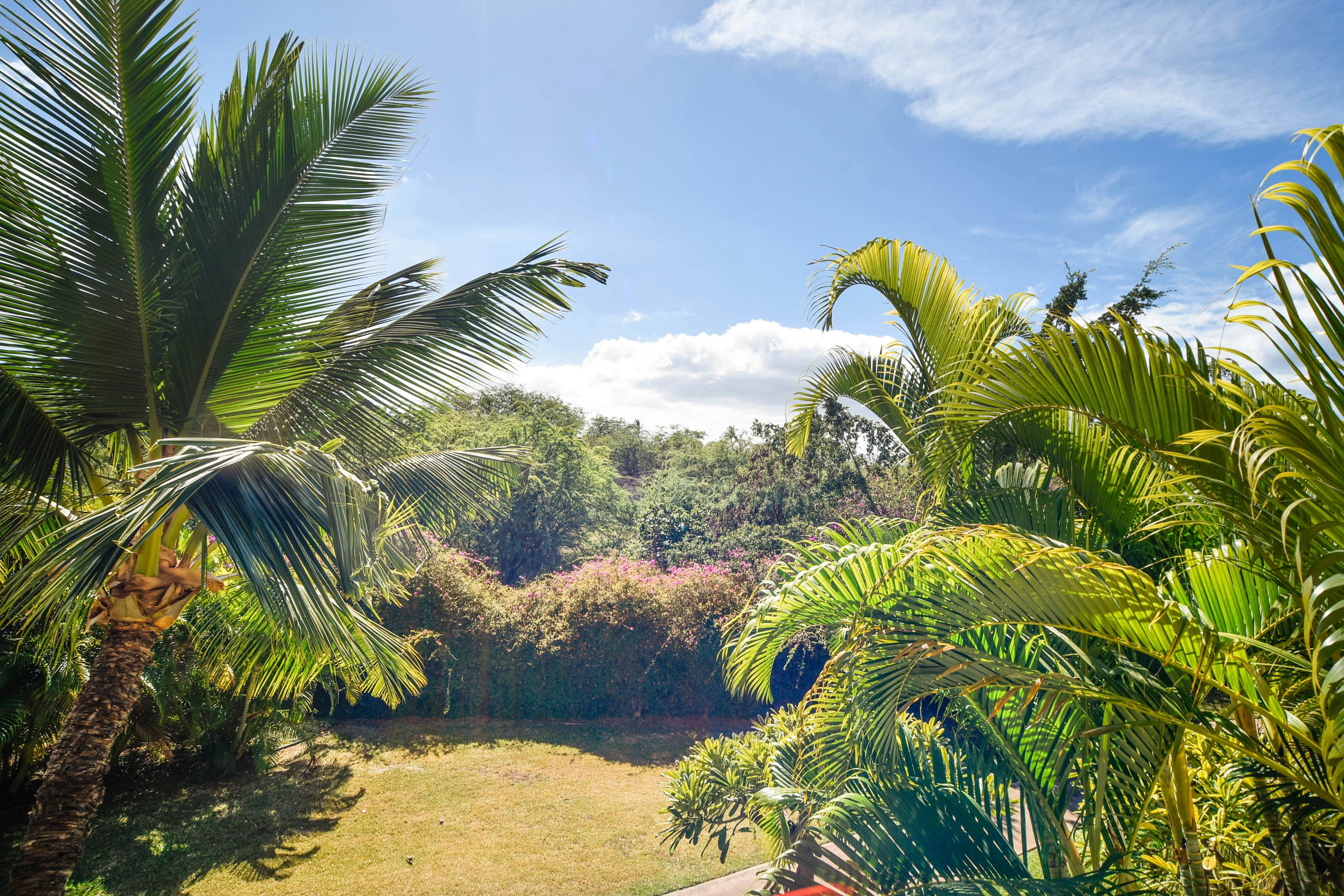 Maui Banyan Q203 [Whole Condo]