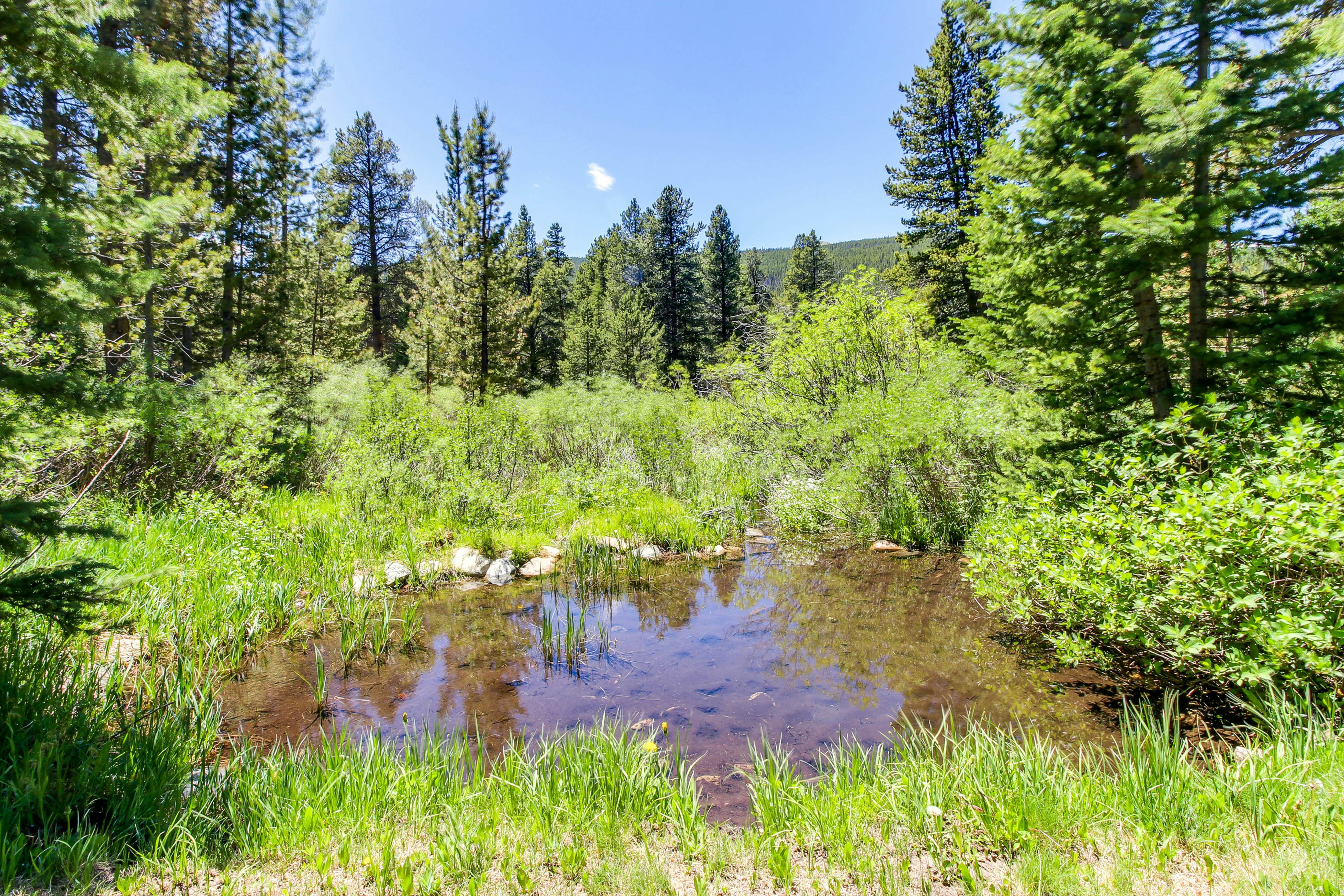 Blue River Cabin in the Woods 1 BD Blue River, CO Vacation Rental