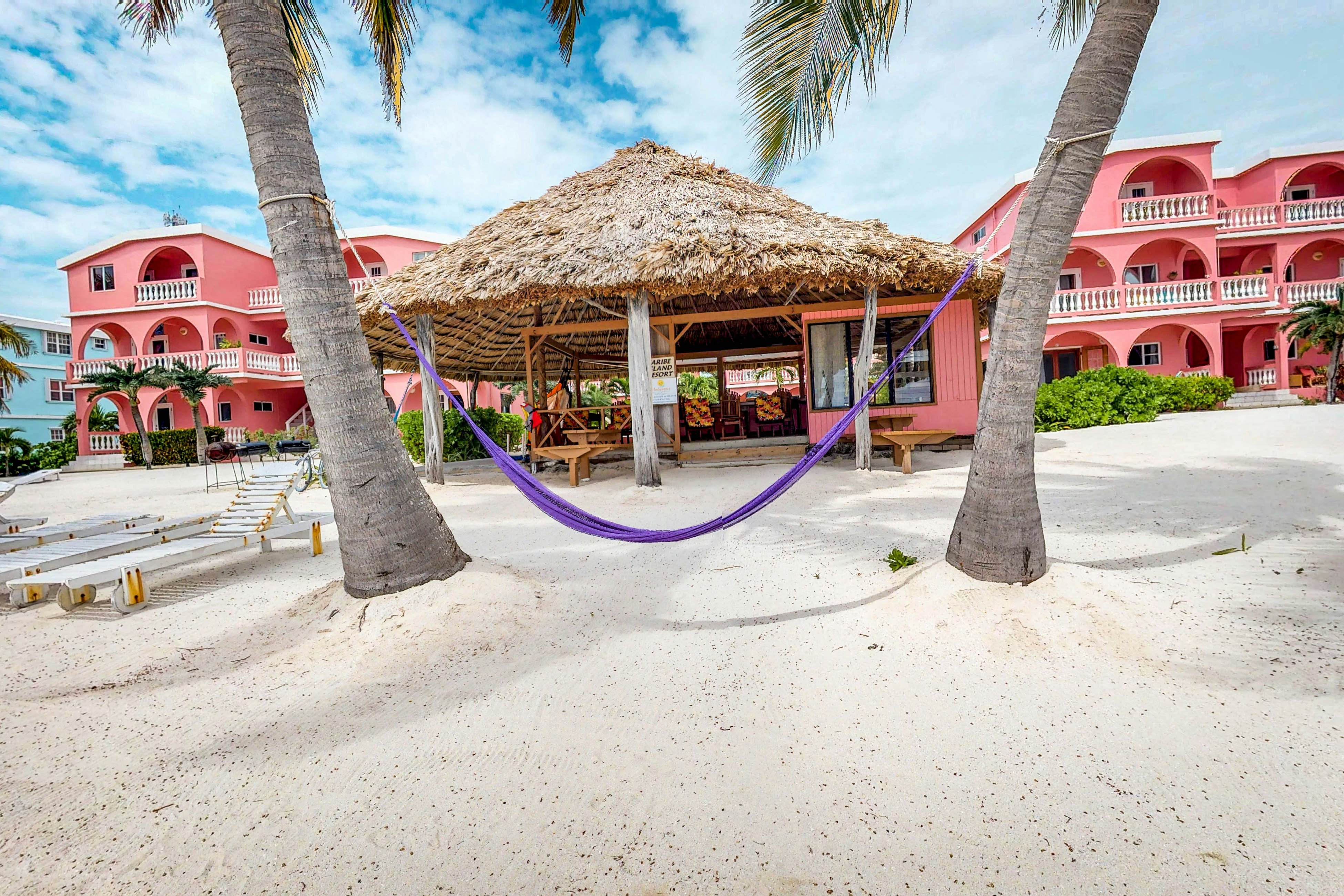 Black Orchid #22 at Caribe Island  -Gold Standard Certified