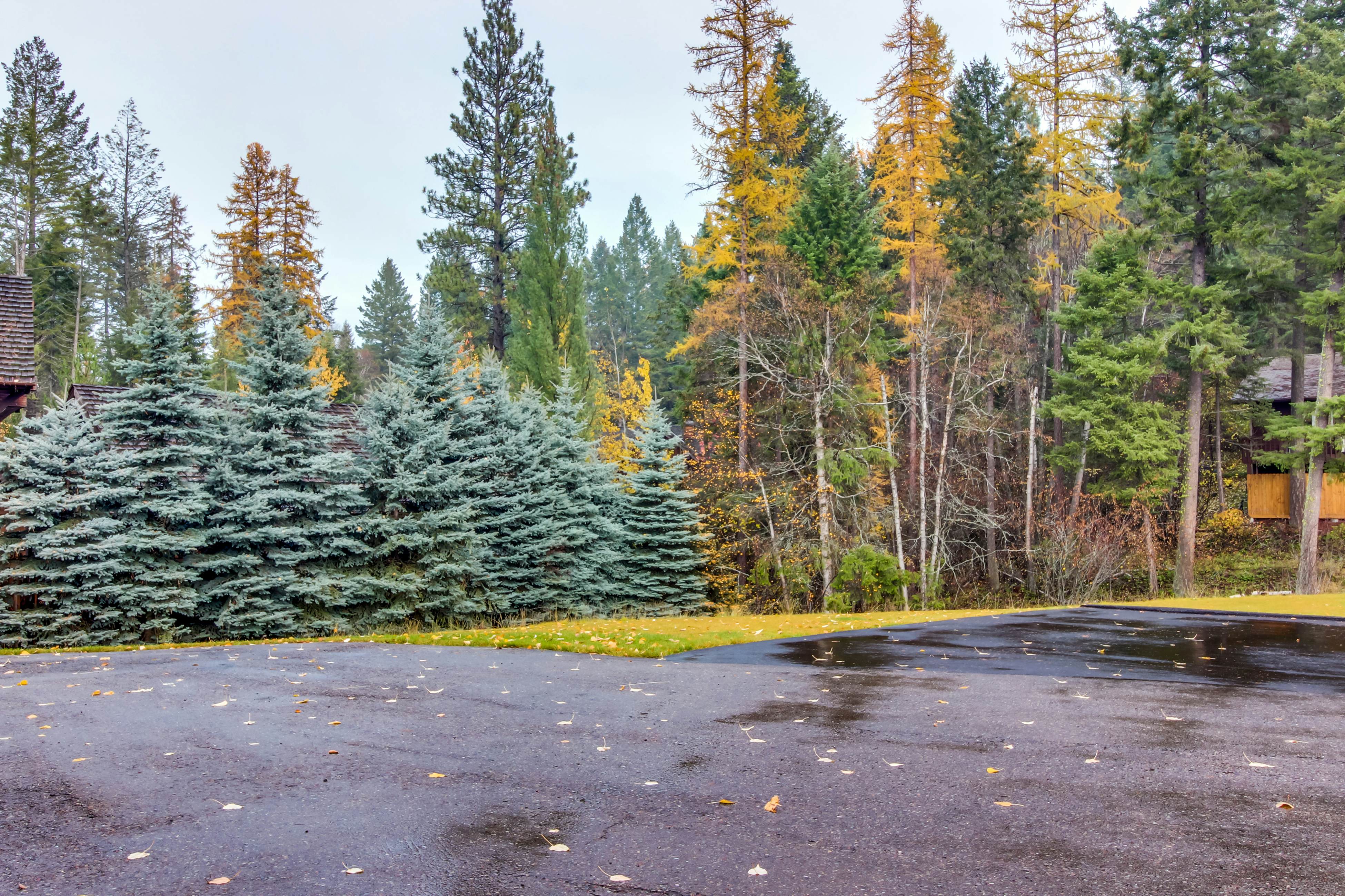 Bay Point Lakefront 1B Down