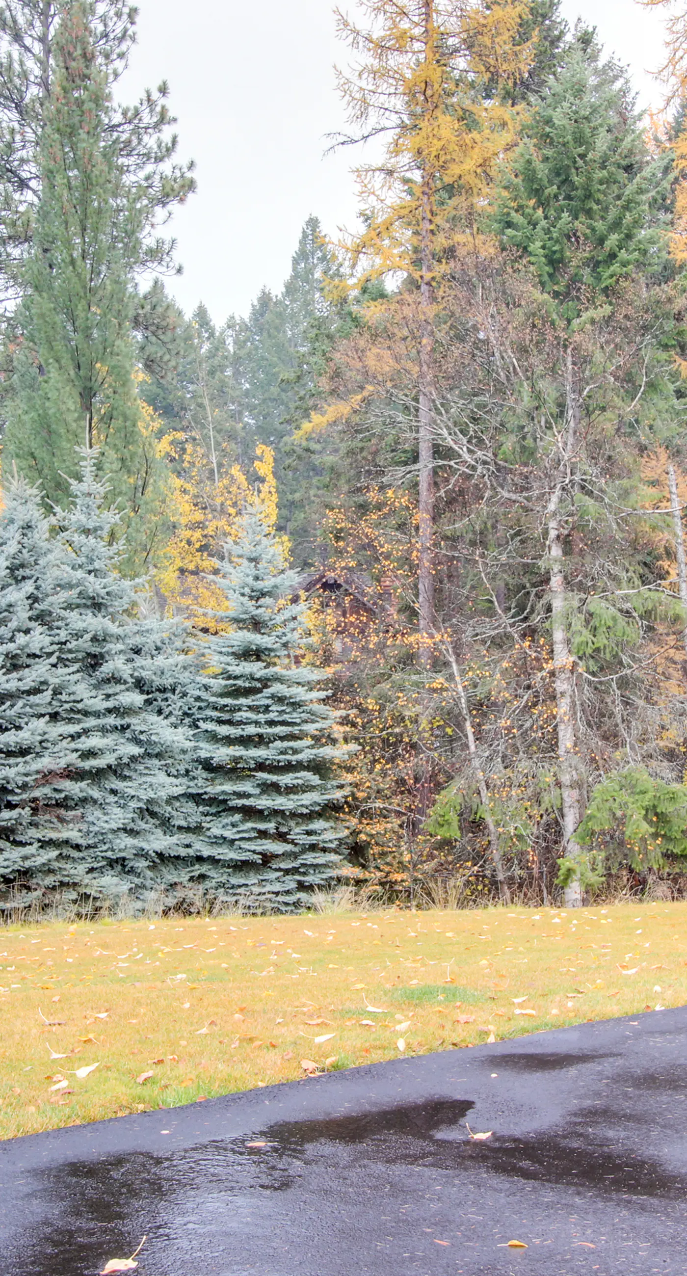 Bay Point Lakefront 1B Up