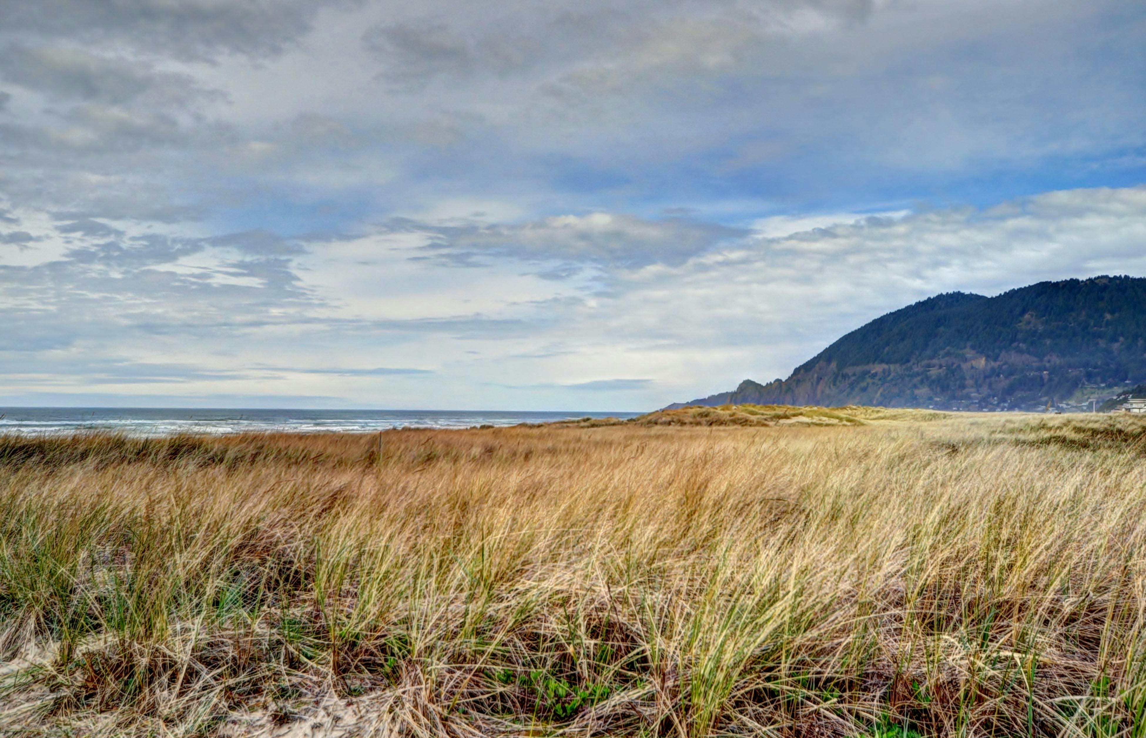 The Little Brown House - MCA 705