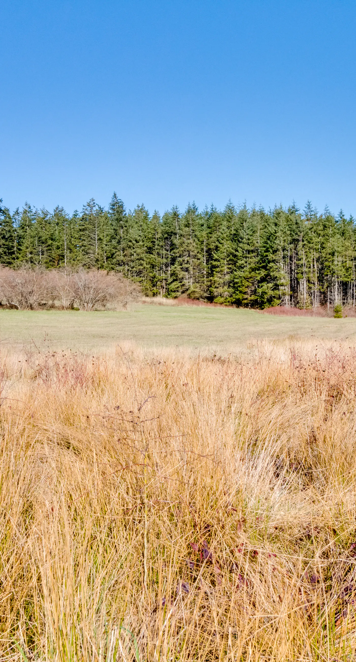 Marrowstone Island Beach Home 2 BD Nordland, WA Vacation Rental Vacasa