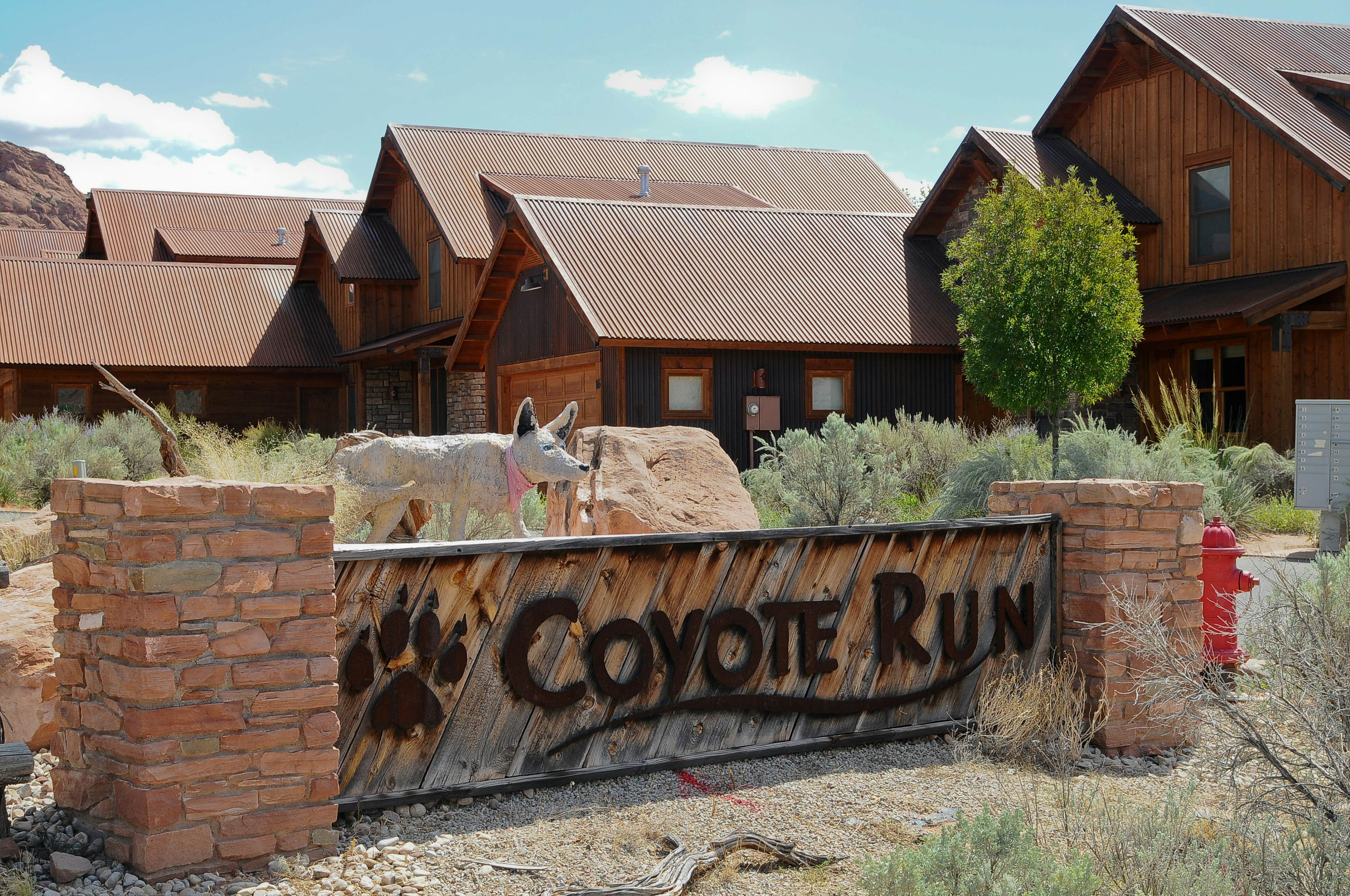 Coyote Run 9