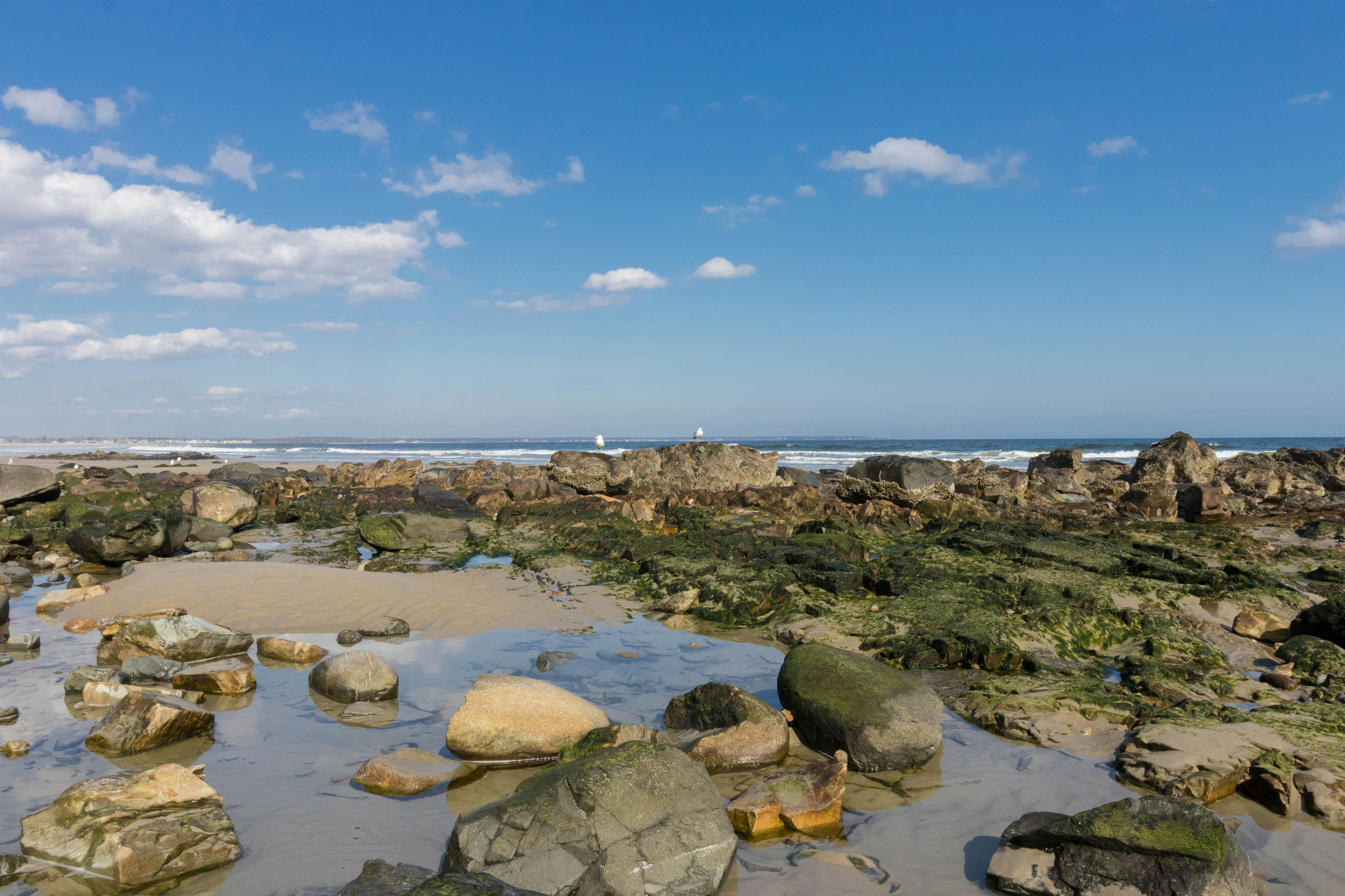 The Eastern Avenue Cottage