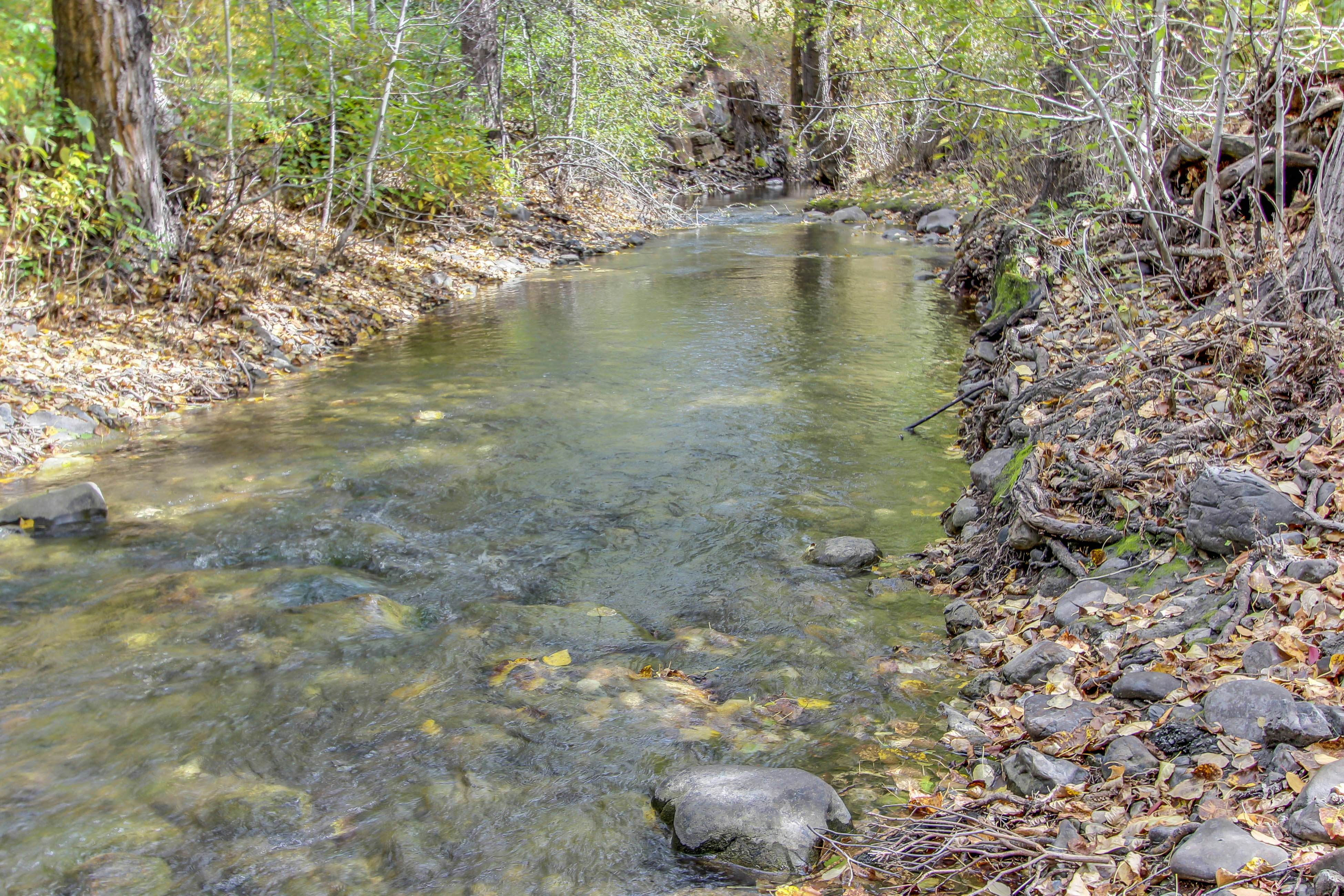 Bridgepoint Condo on Trail Creek