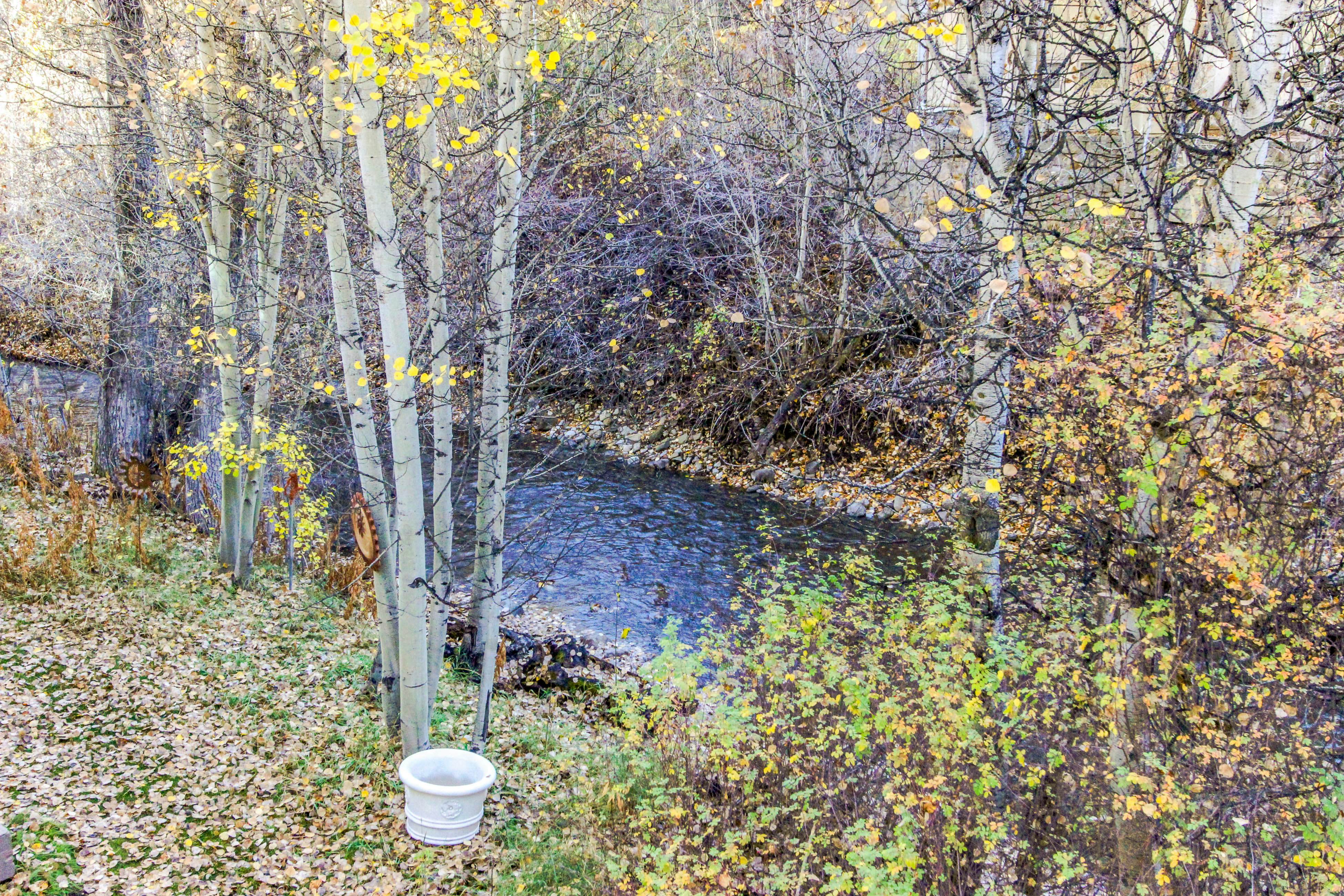 Bridgepoint Condo on Trail Creek