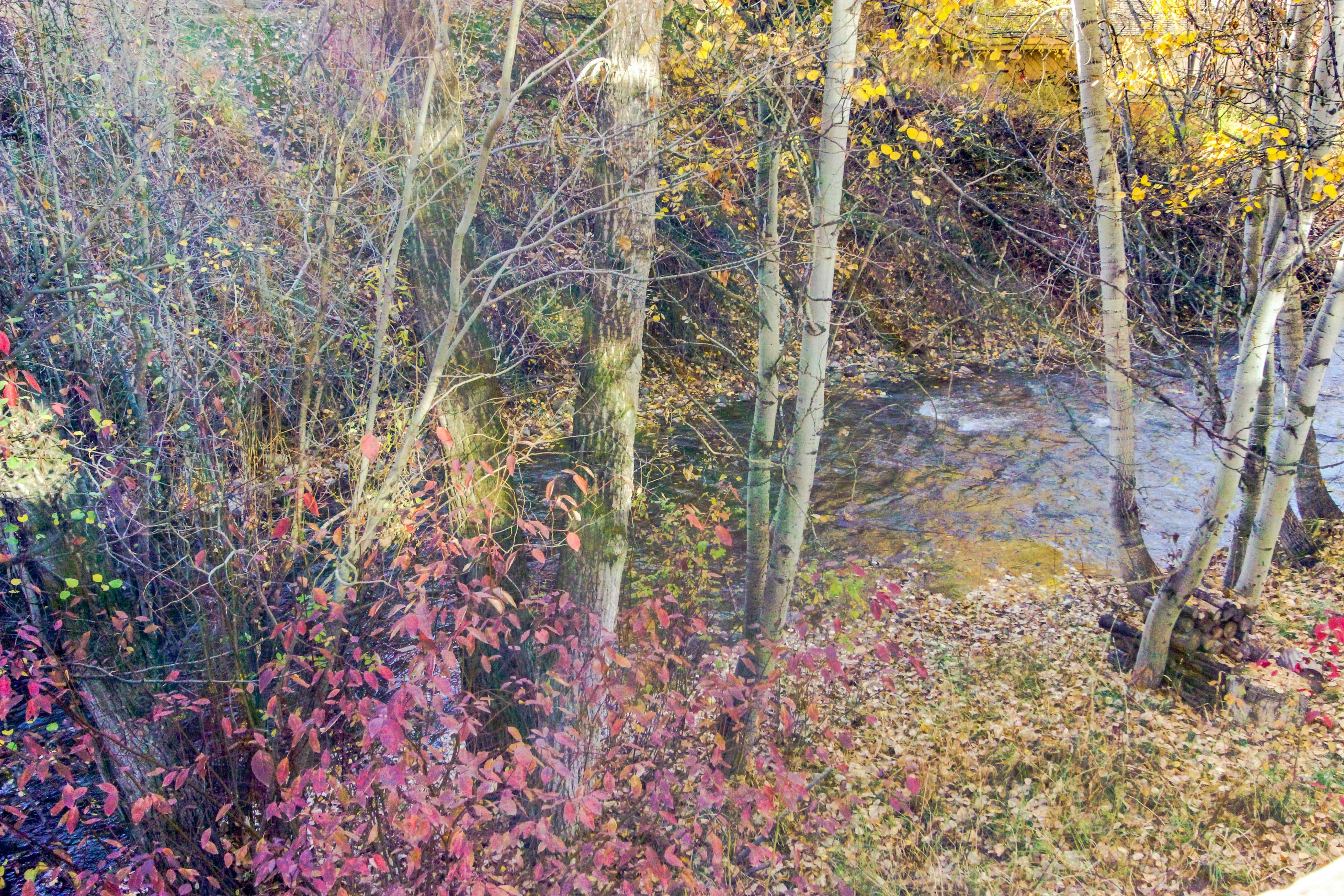 Bridgepoint Condo on Trail Creek