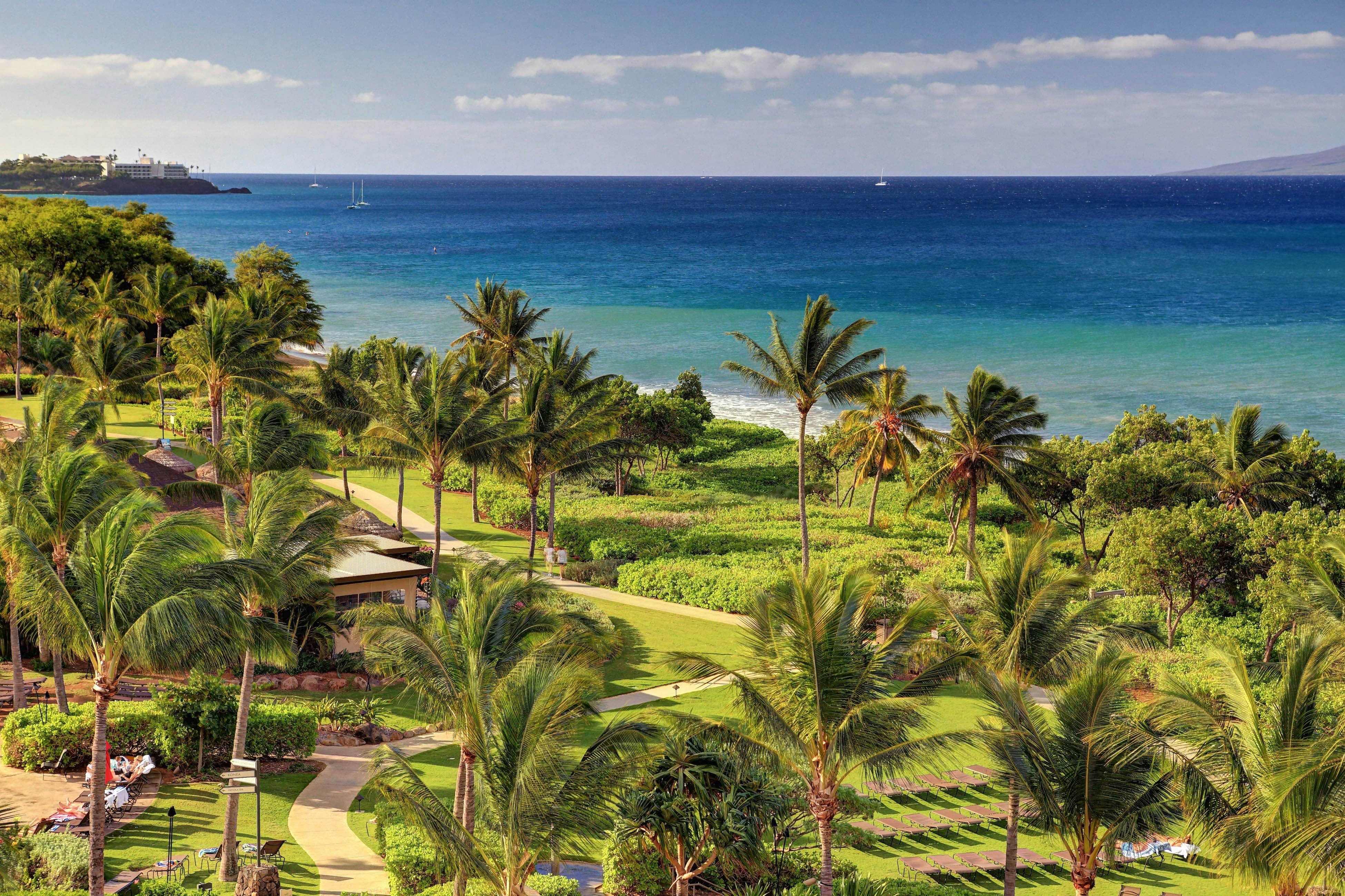 Honua Kai - Konea 446