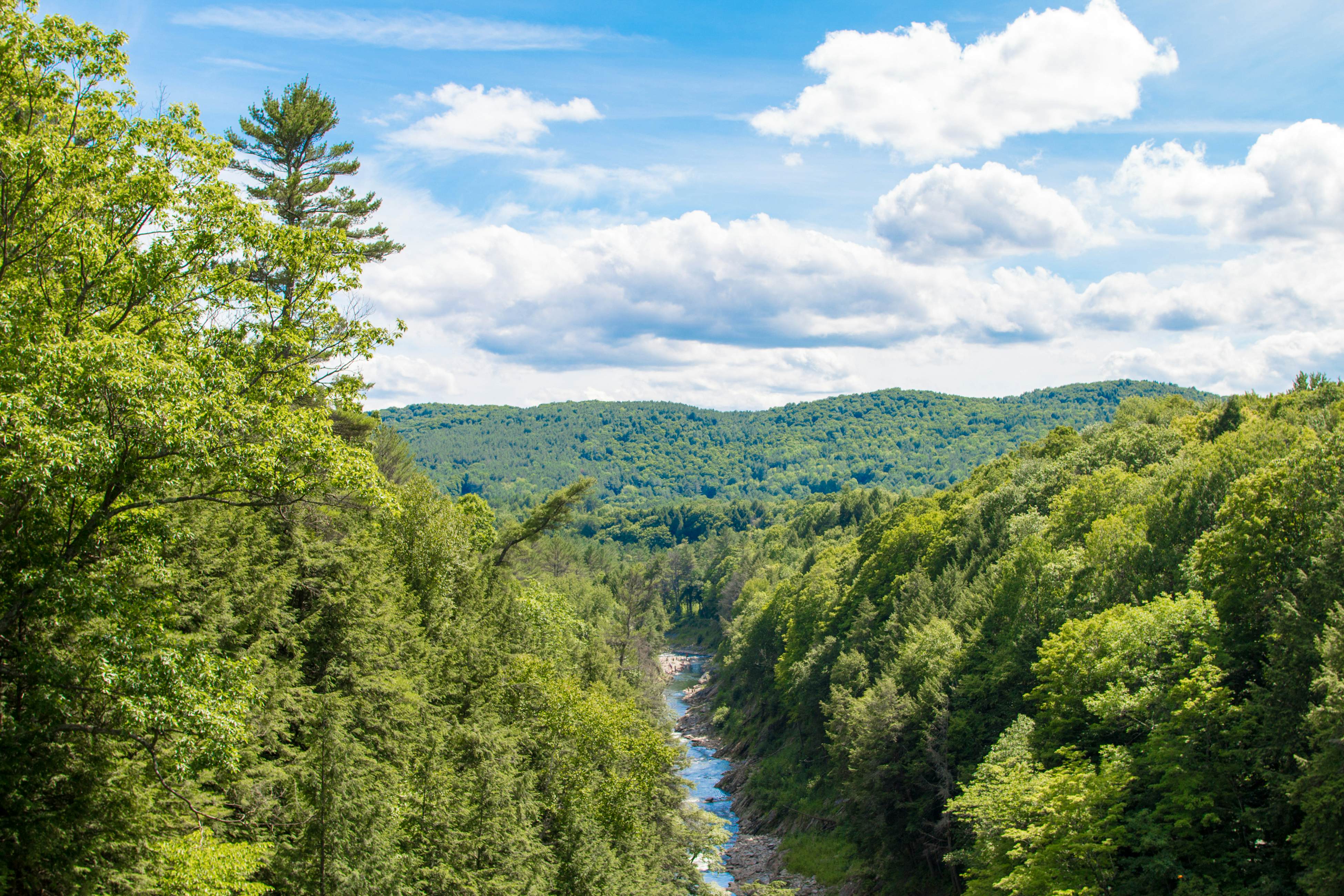 The Woods - Village-11