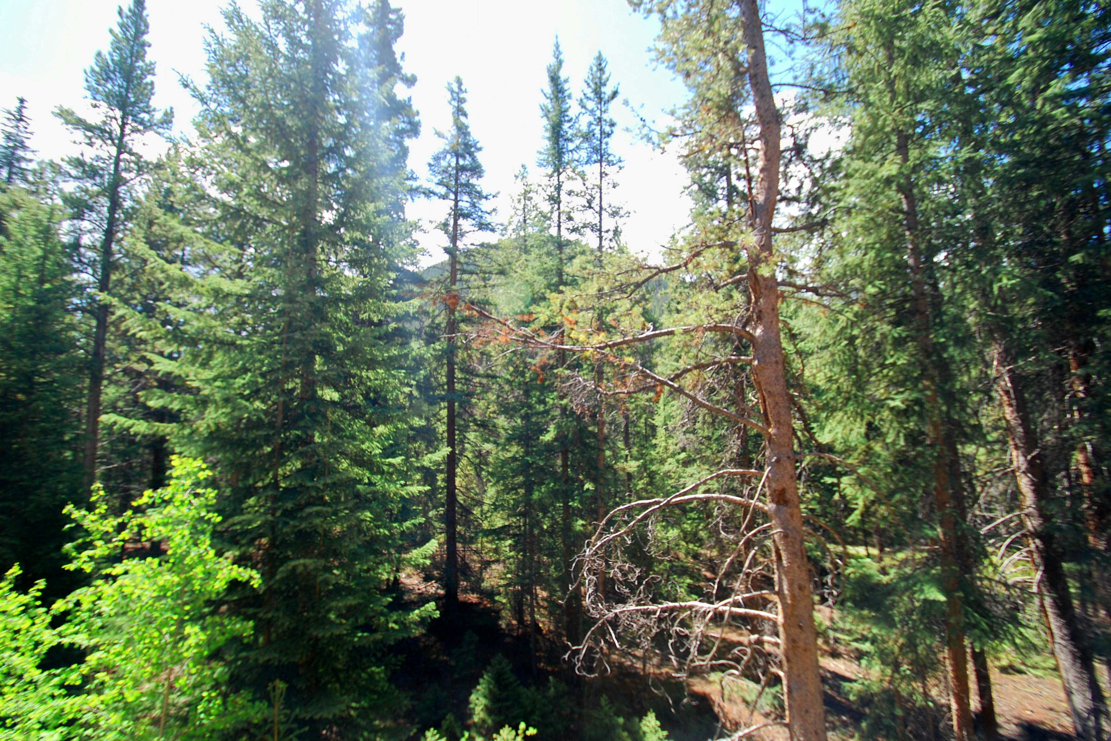 Trappers Crossing 8763