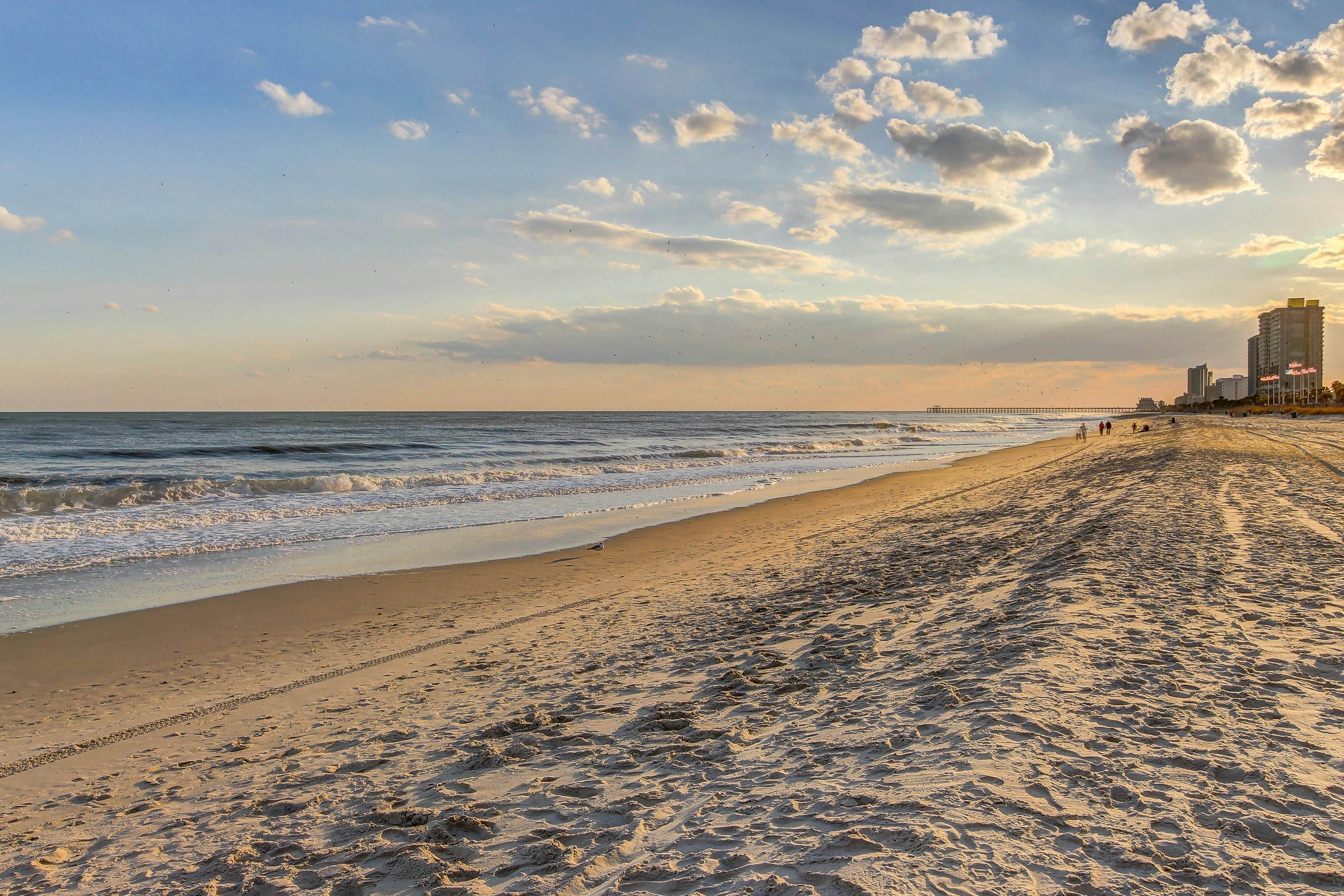 Arcadian Dunes 02-208