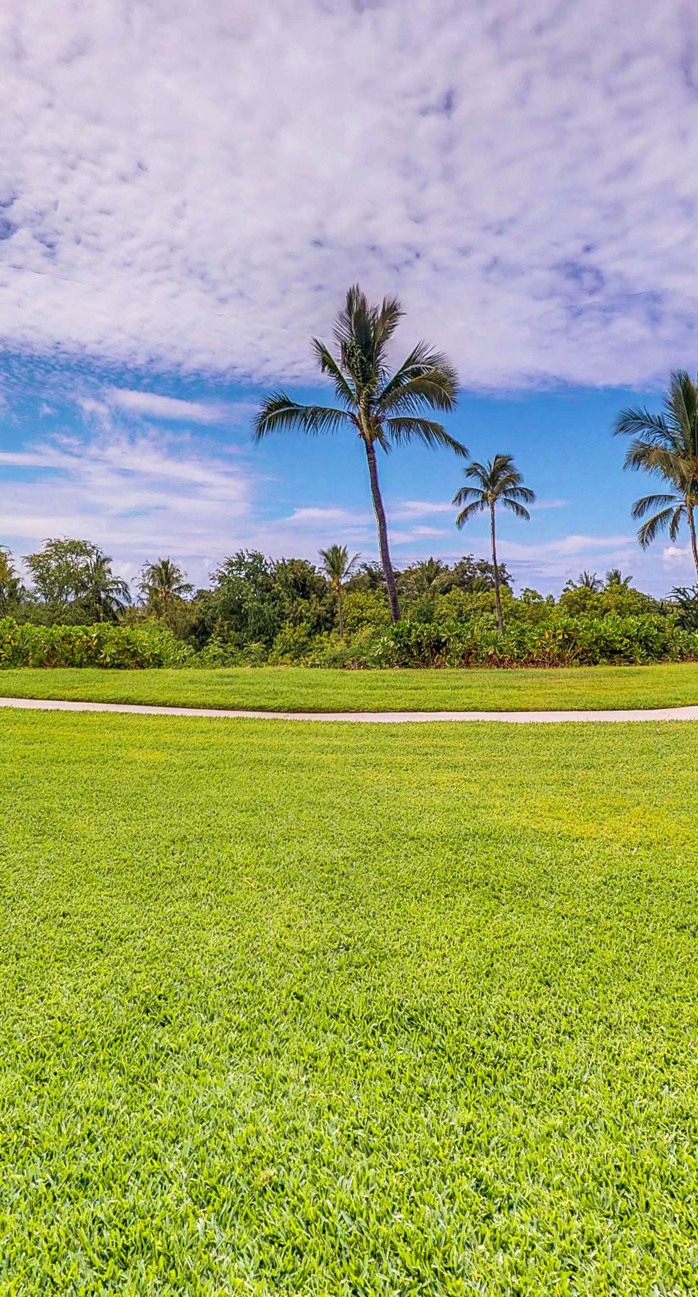 Keauhou Punahele B101