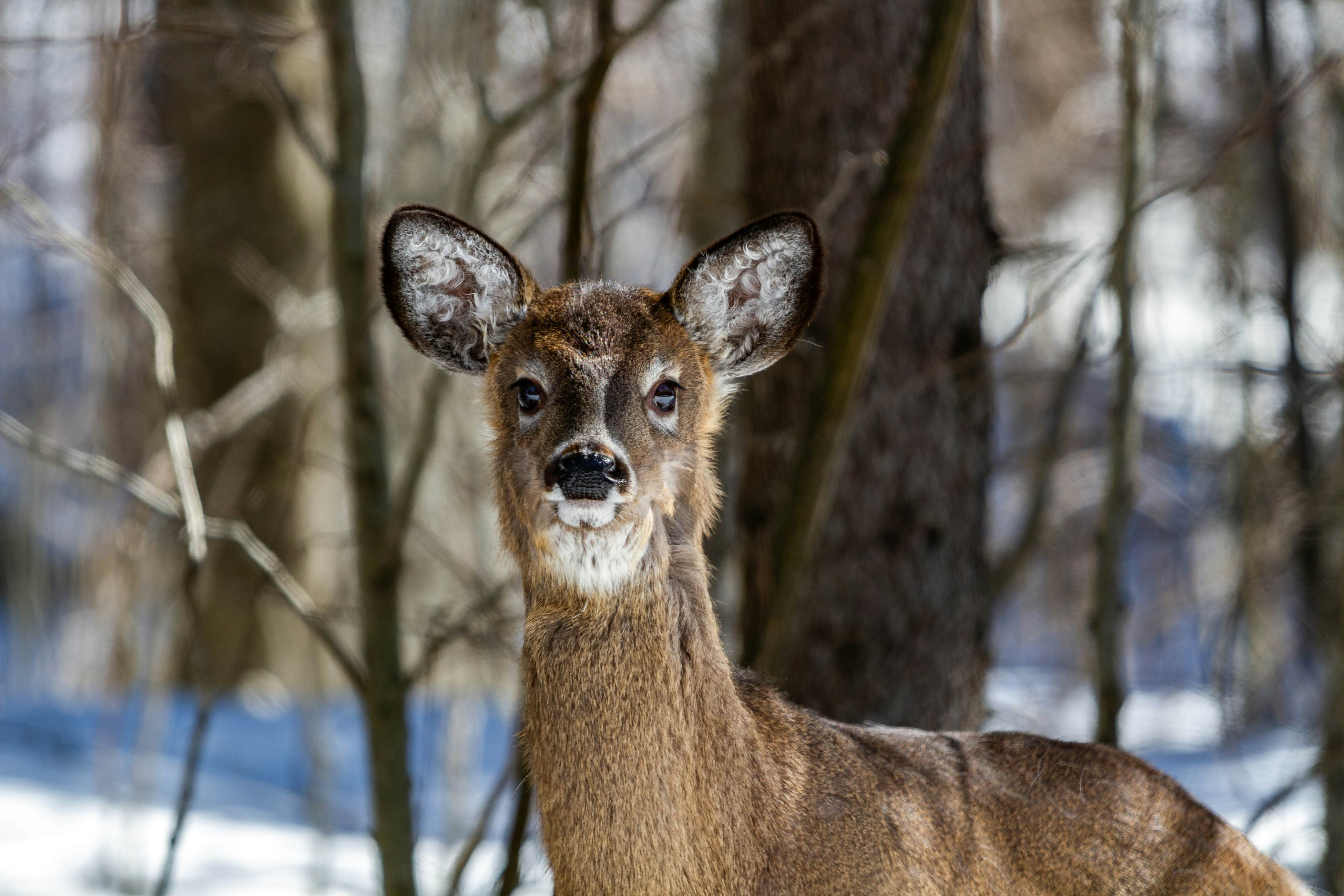 Perfect as a Picture