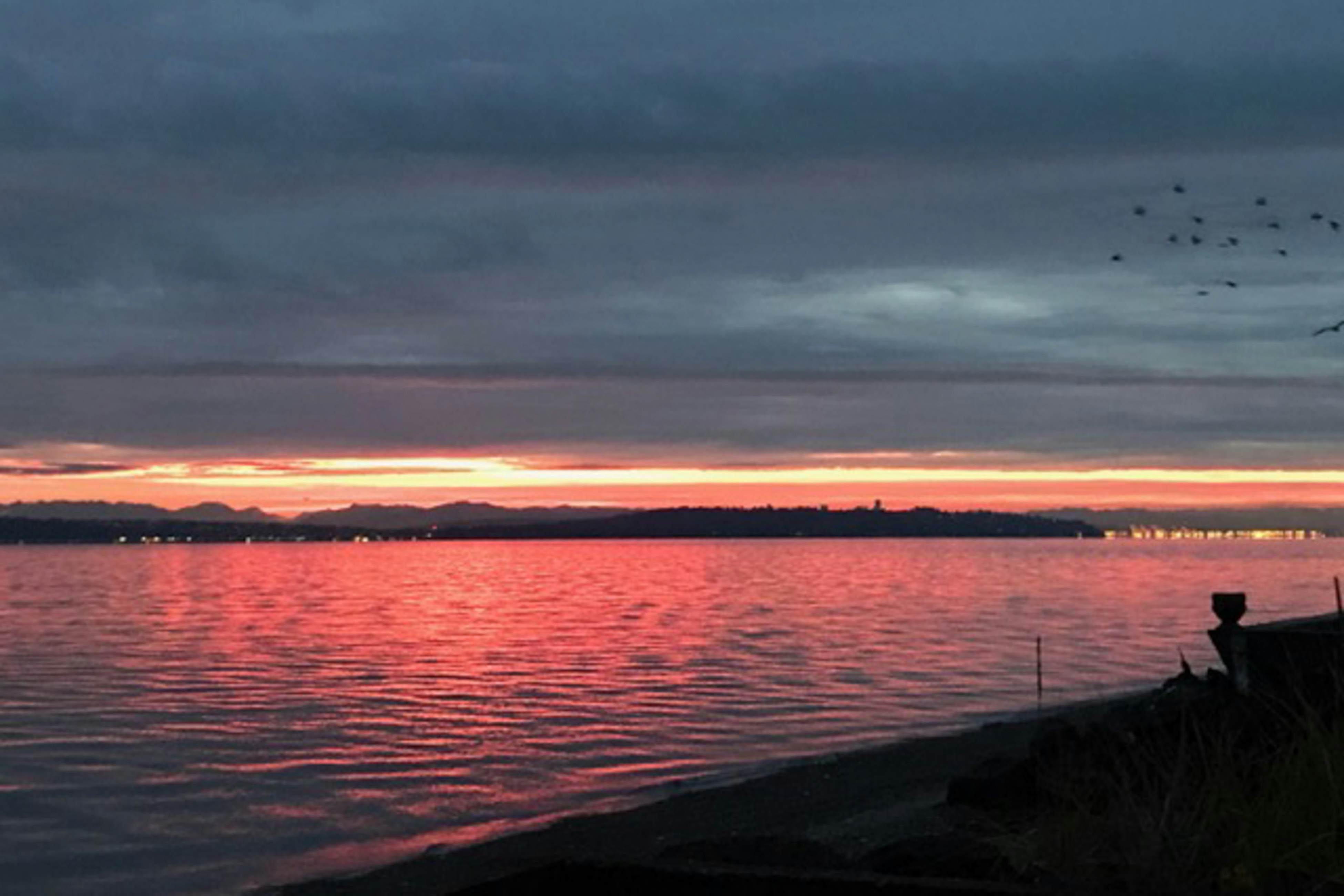 Historic Shore Cottage