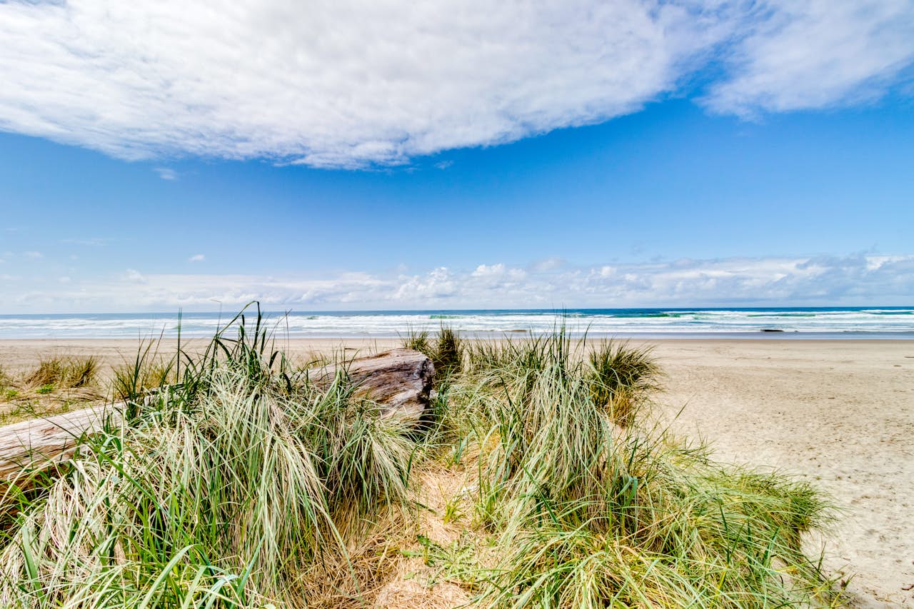 The Modern Oceanfront View Condo 203 2 BD Vacation Rental in