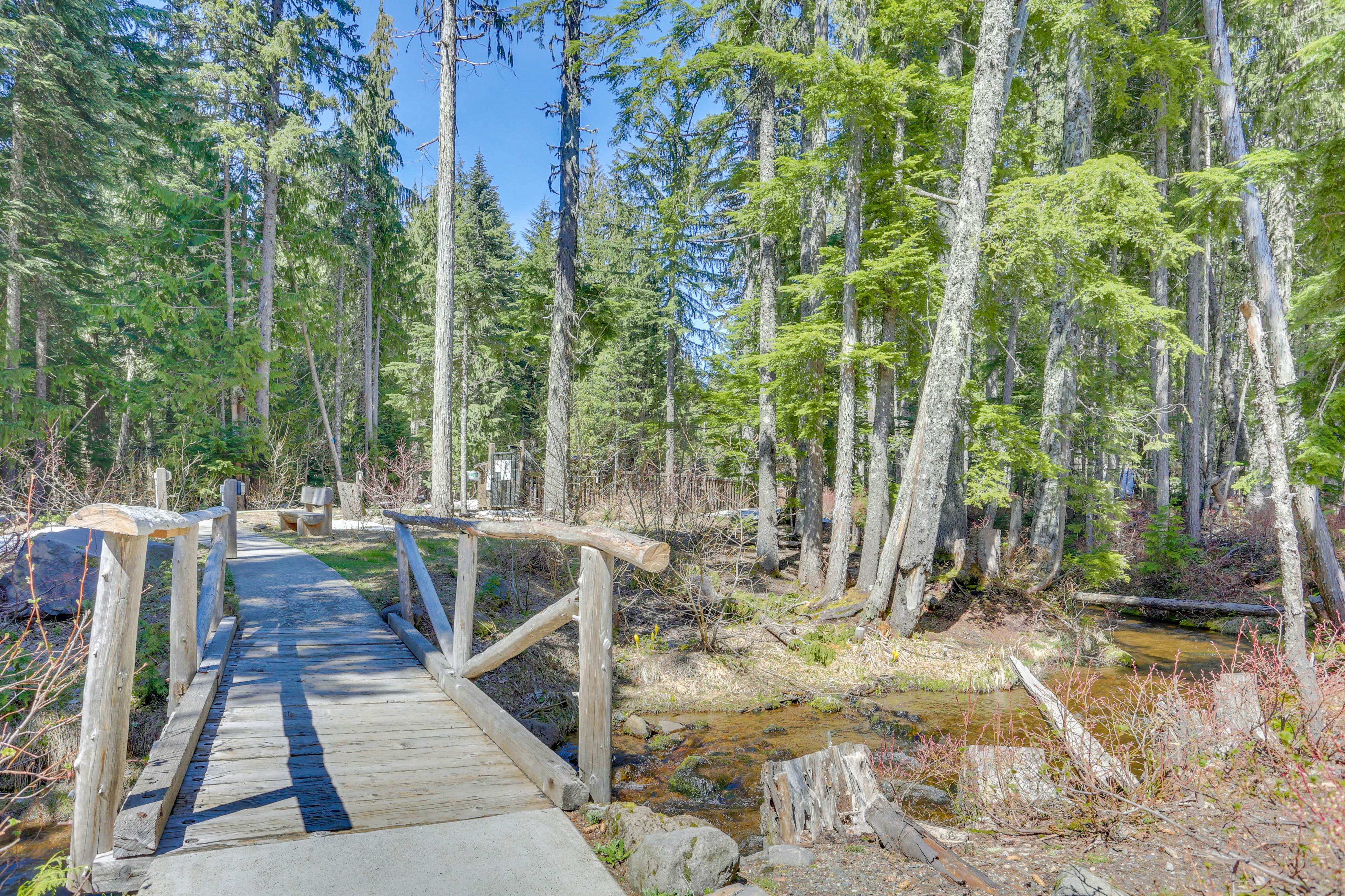 Wild West  -Collins Lake #11