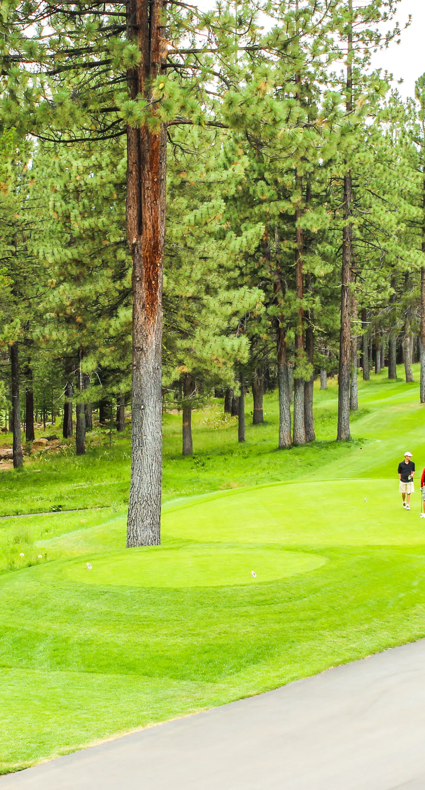Stockholm Mountain Retreat
