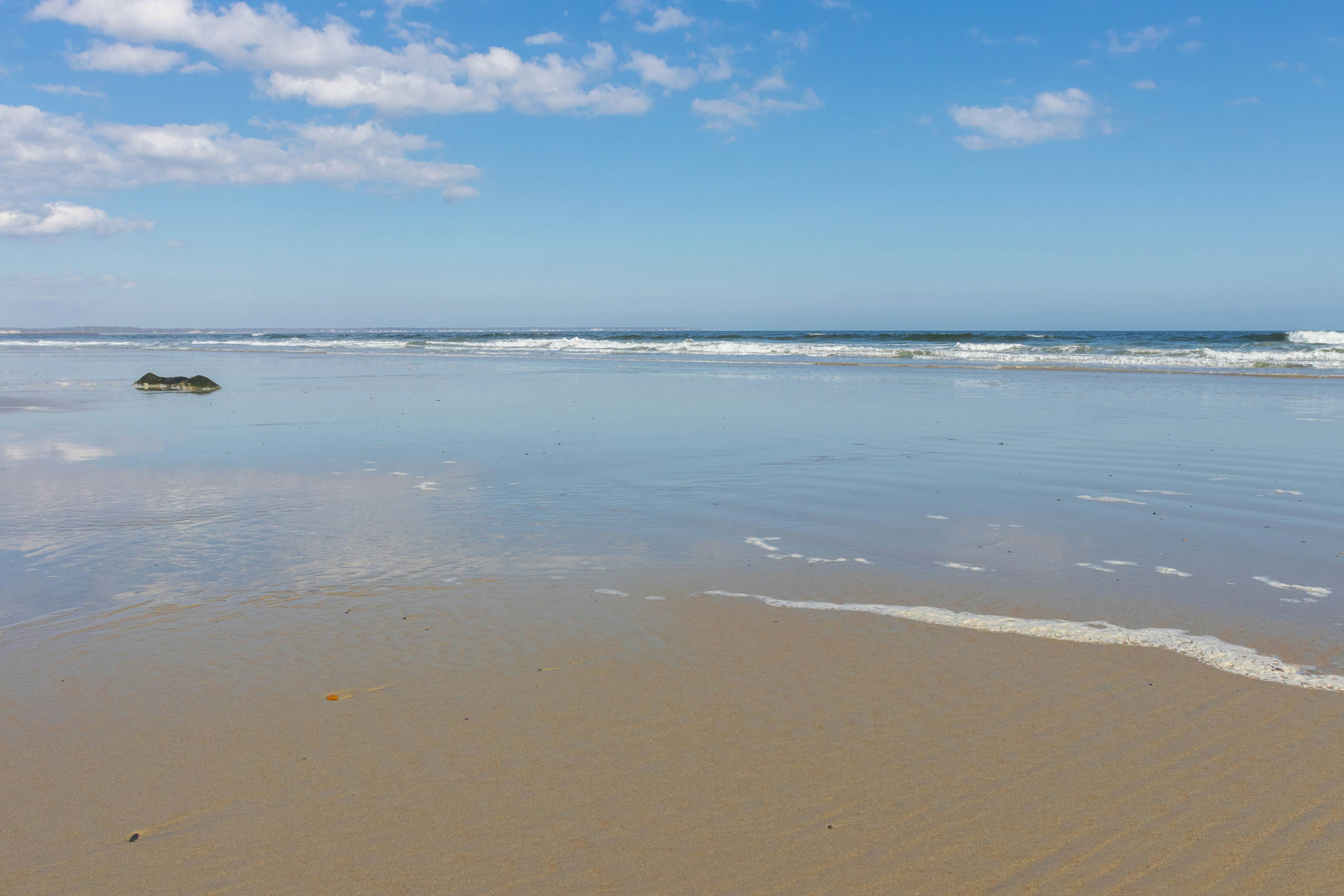 Wellington Manor 126