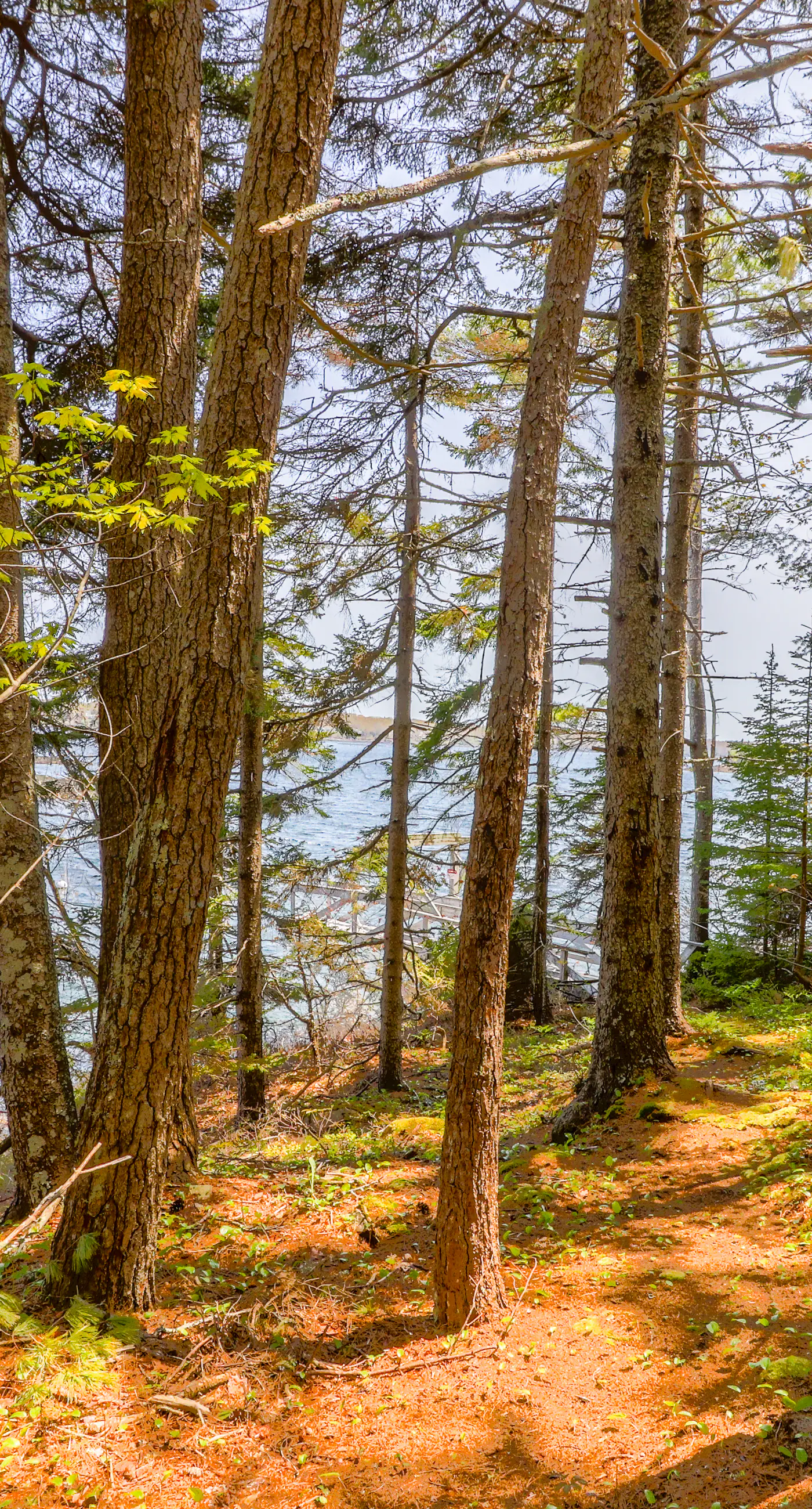 The Beach House at Wall Point