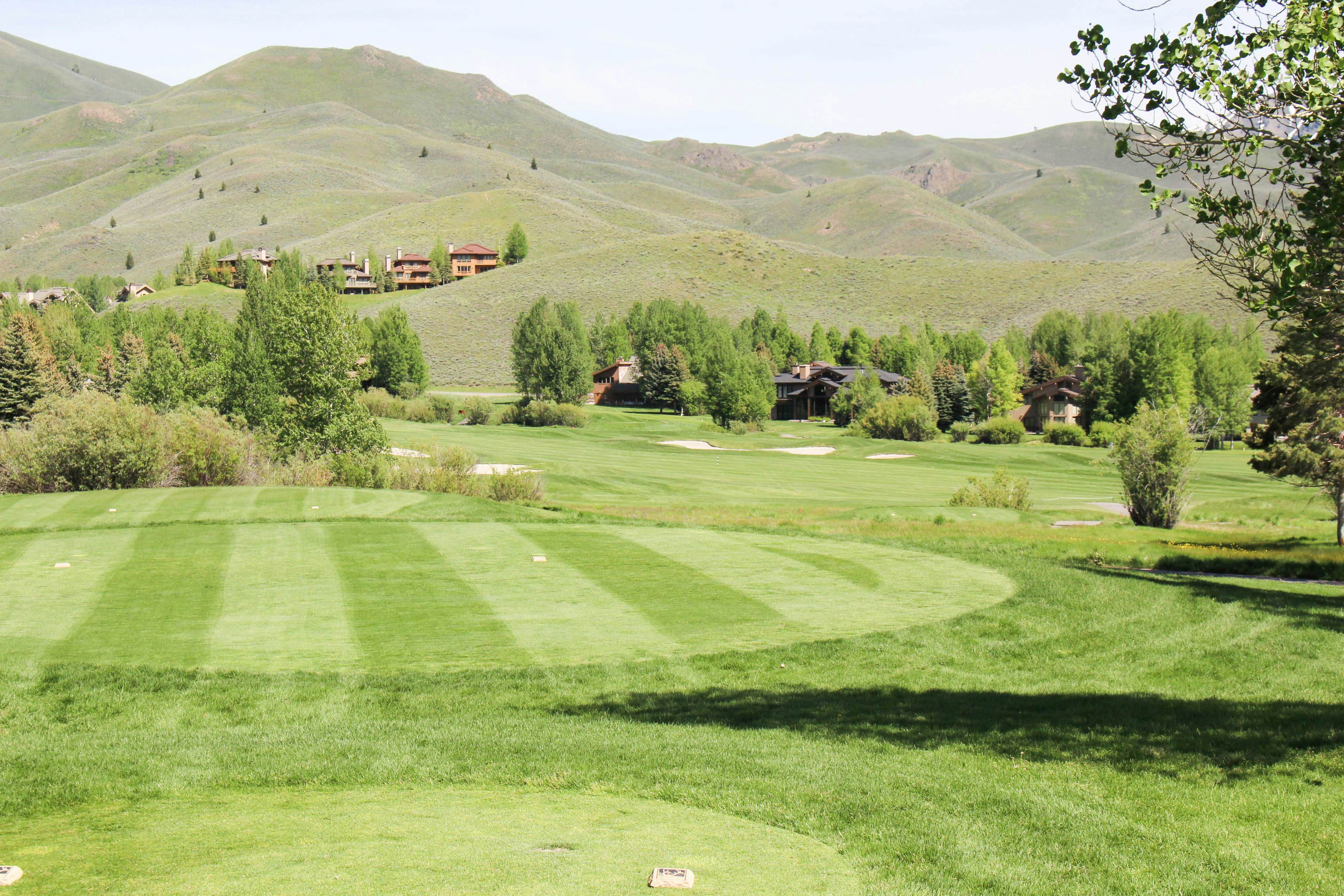 Elkhorn Escape - Renovated 2020