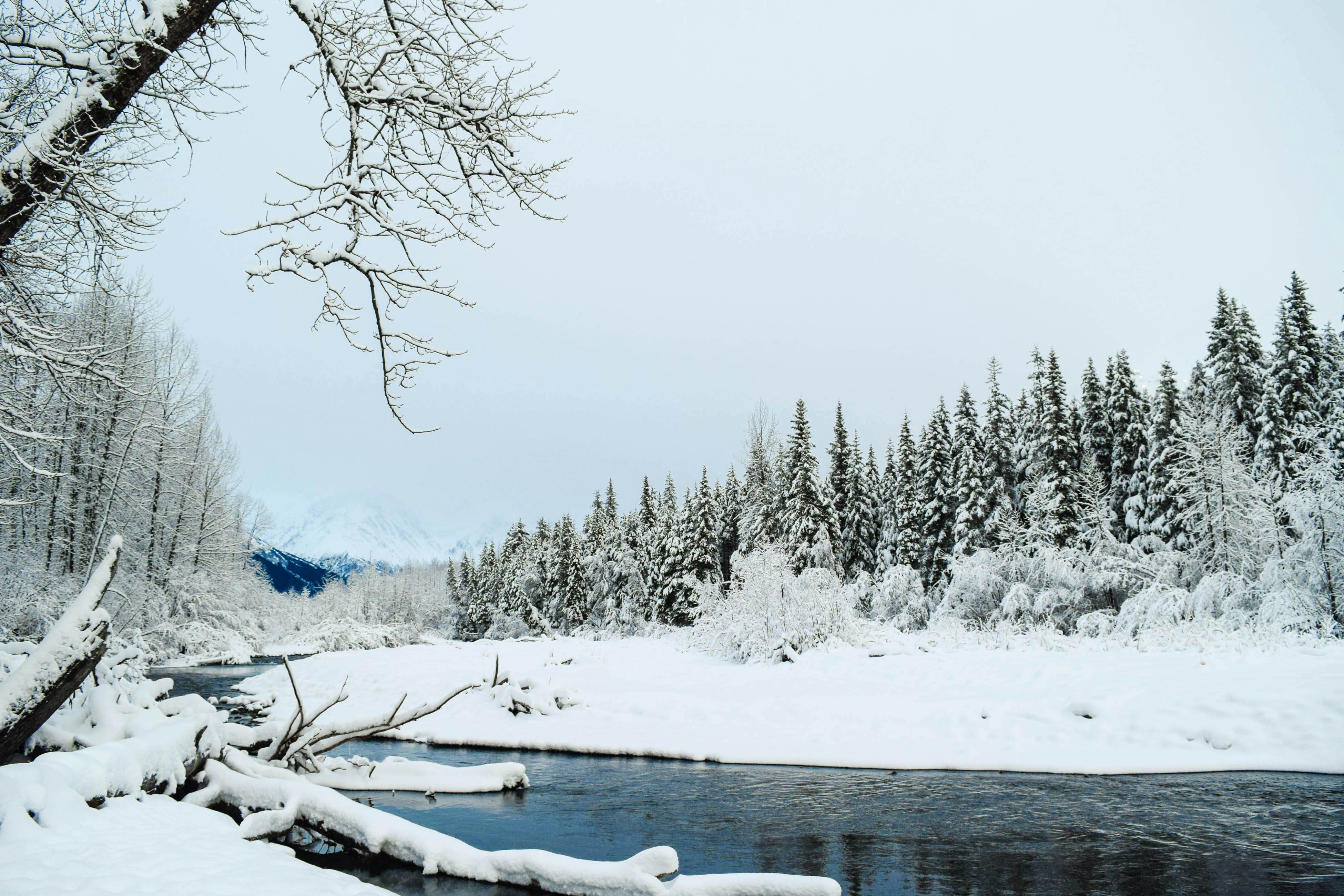 Black Diamond Chalet