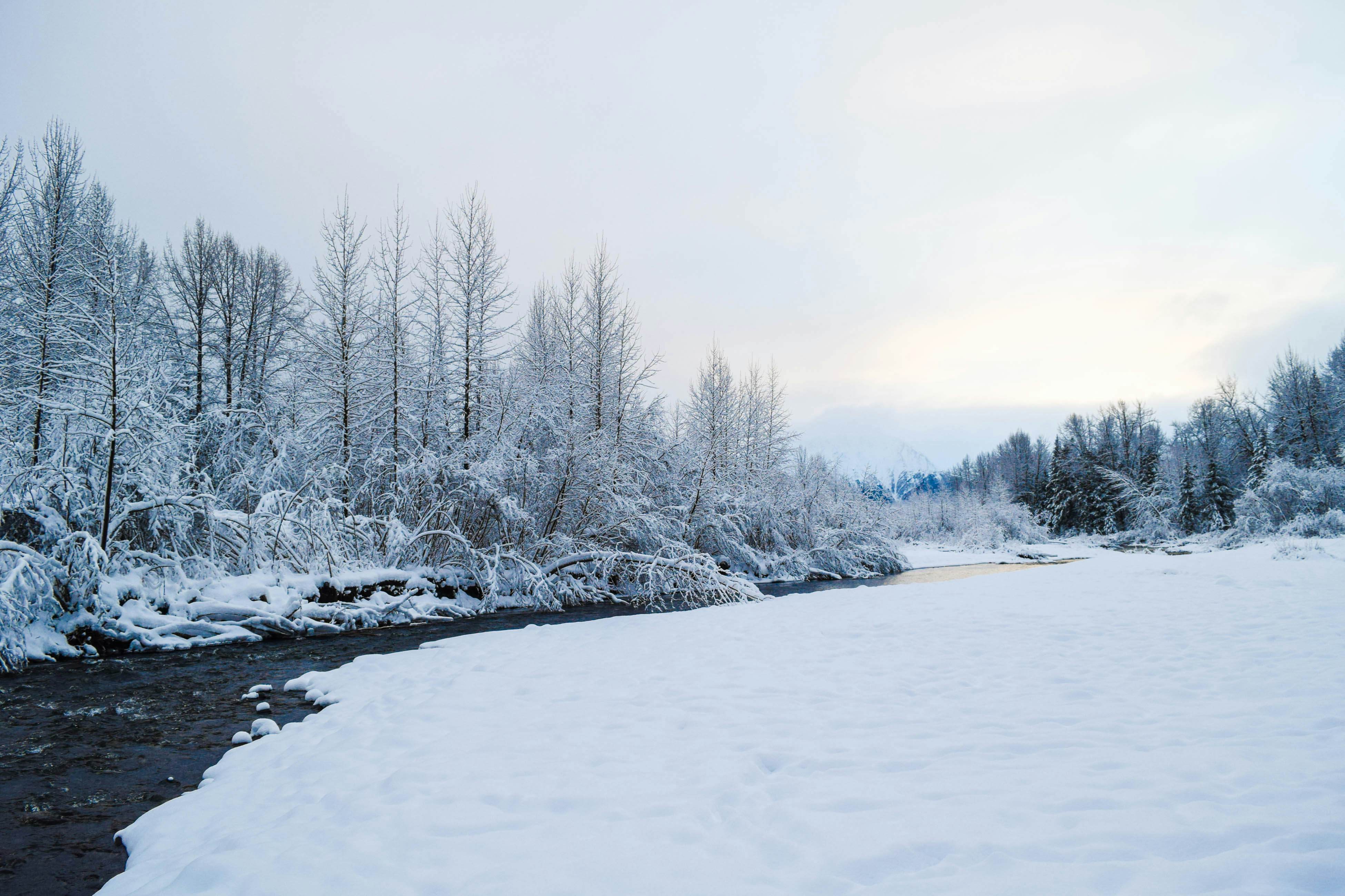 Black Diamond Chalet