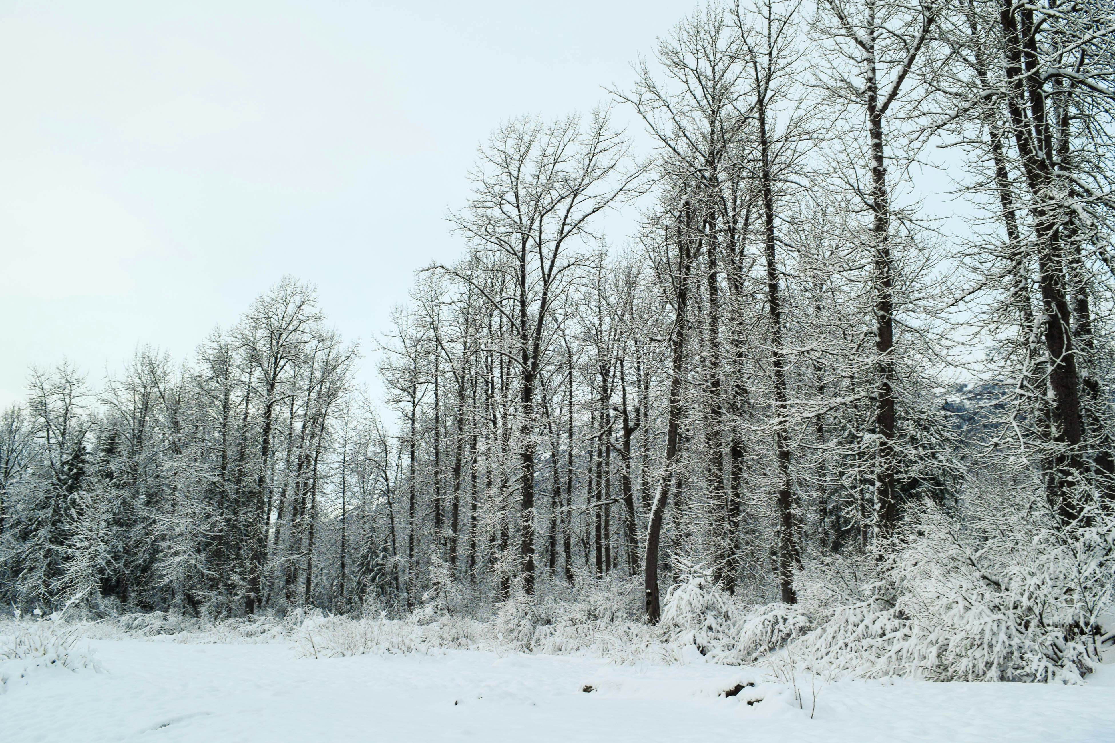 Black Diamond Chalet