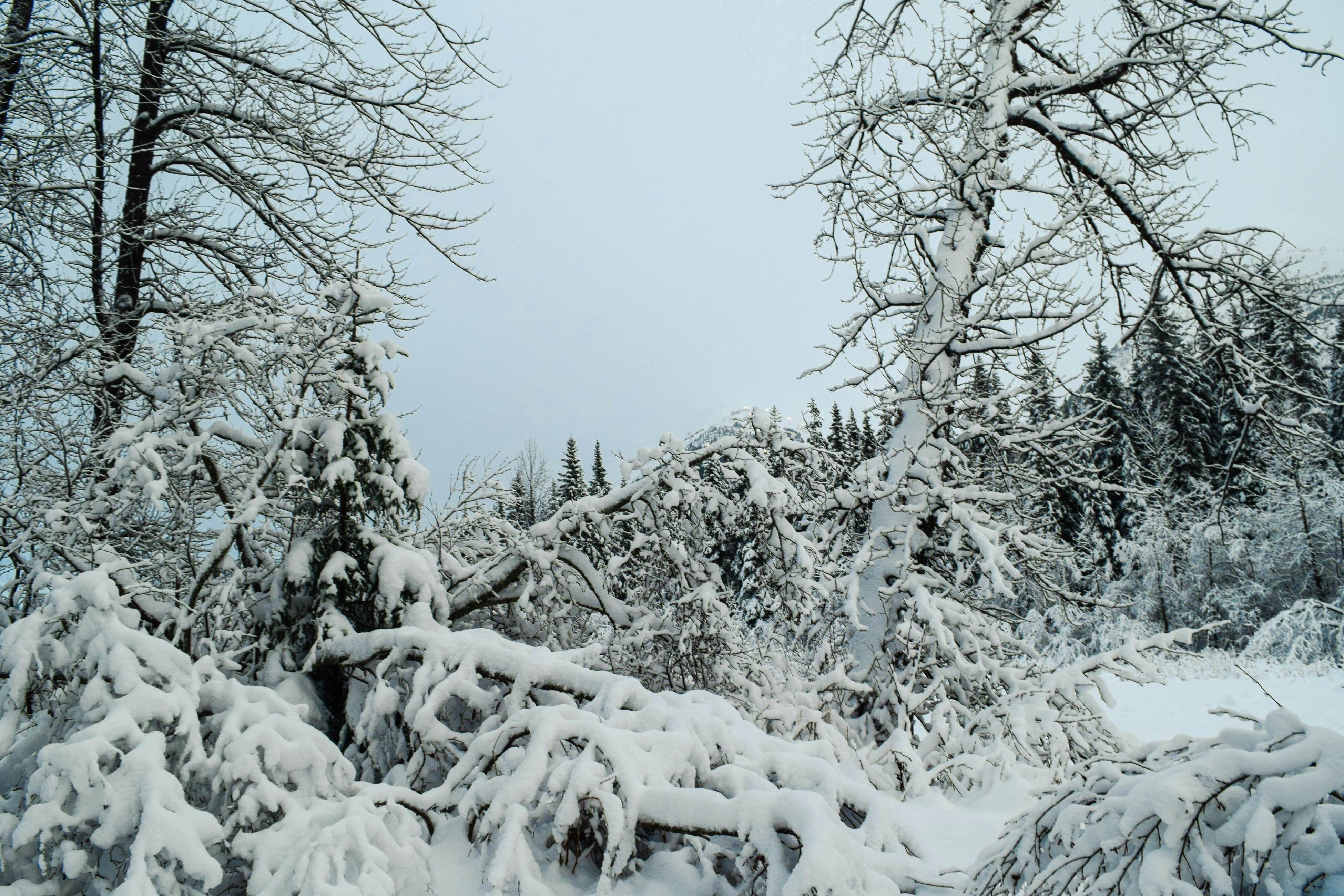 Black Diamond Chalet