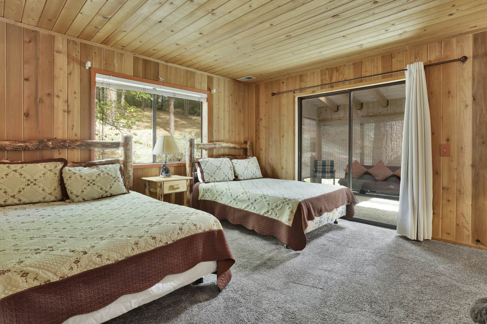 1454-Pines and Needles