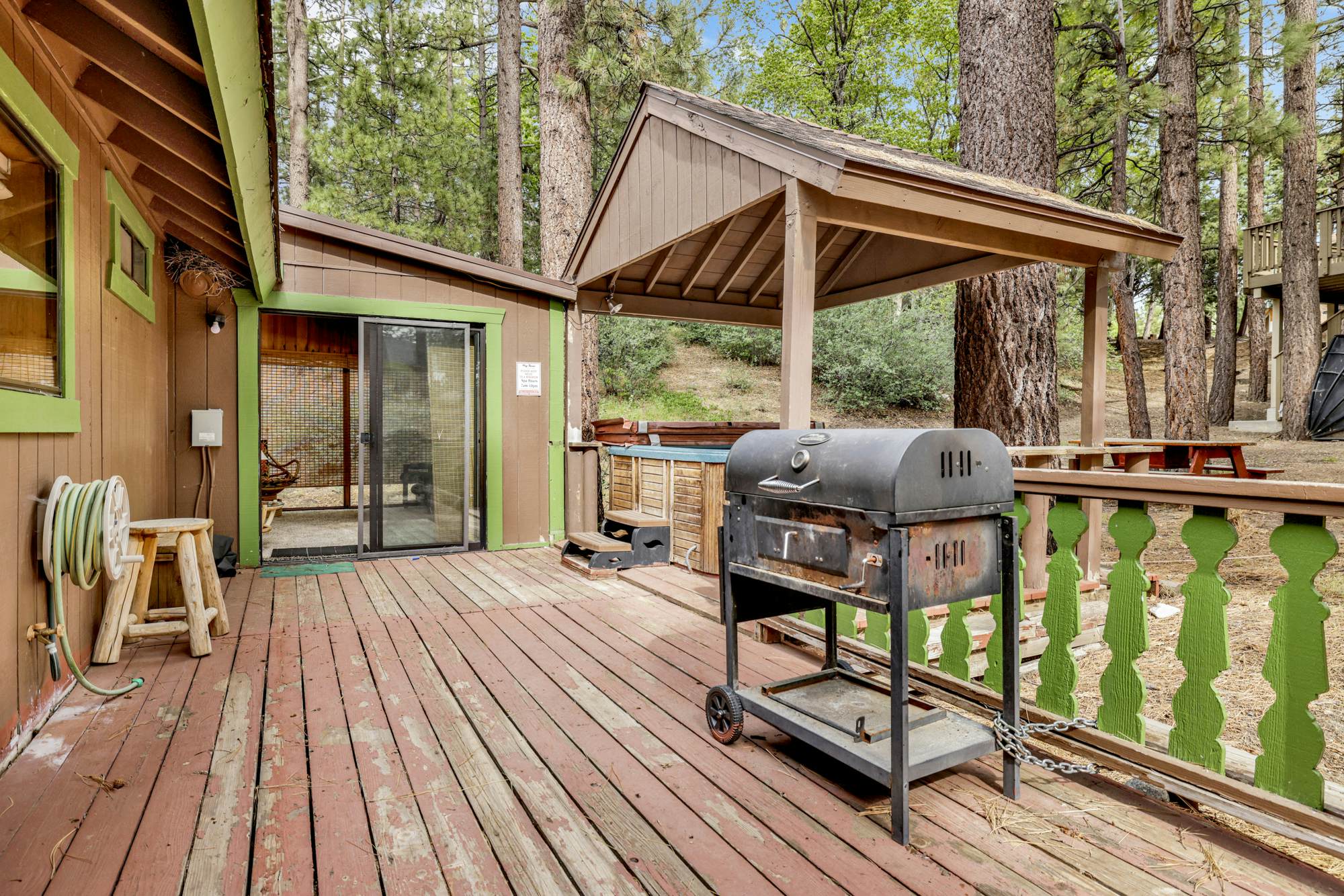 1454-Pines and Needles