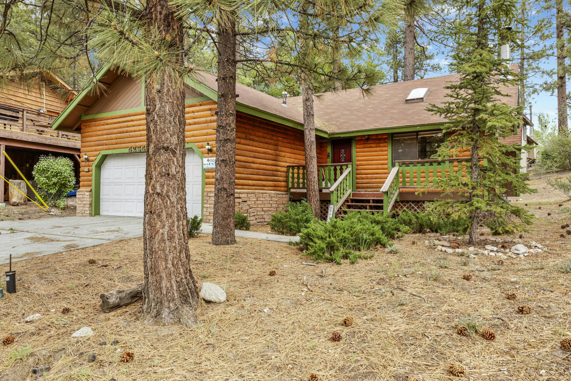 1454-Pines and Needles