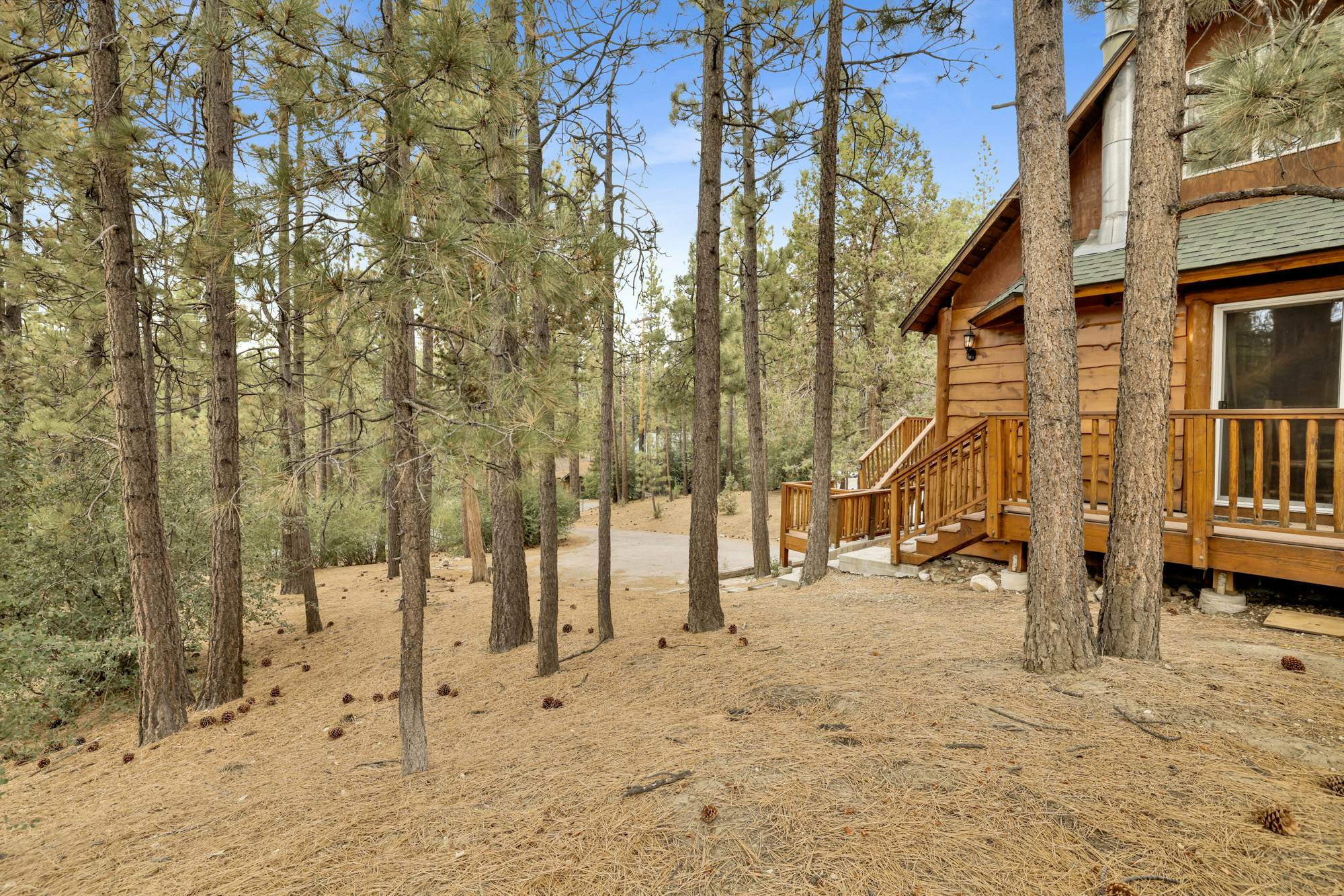 1494-Living Log Cabin