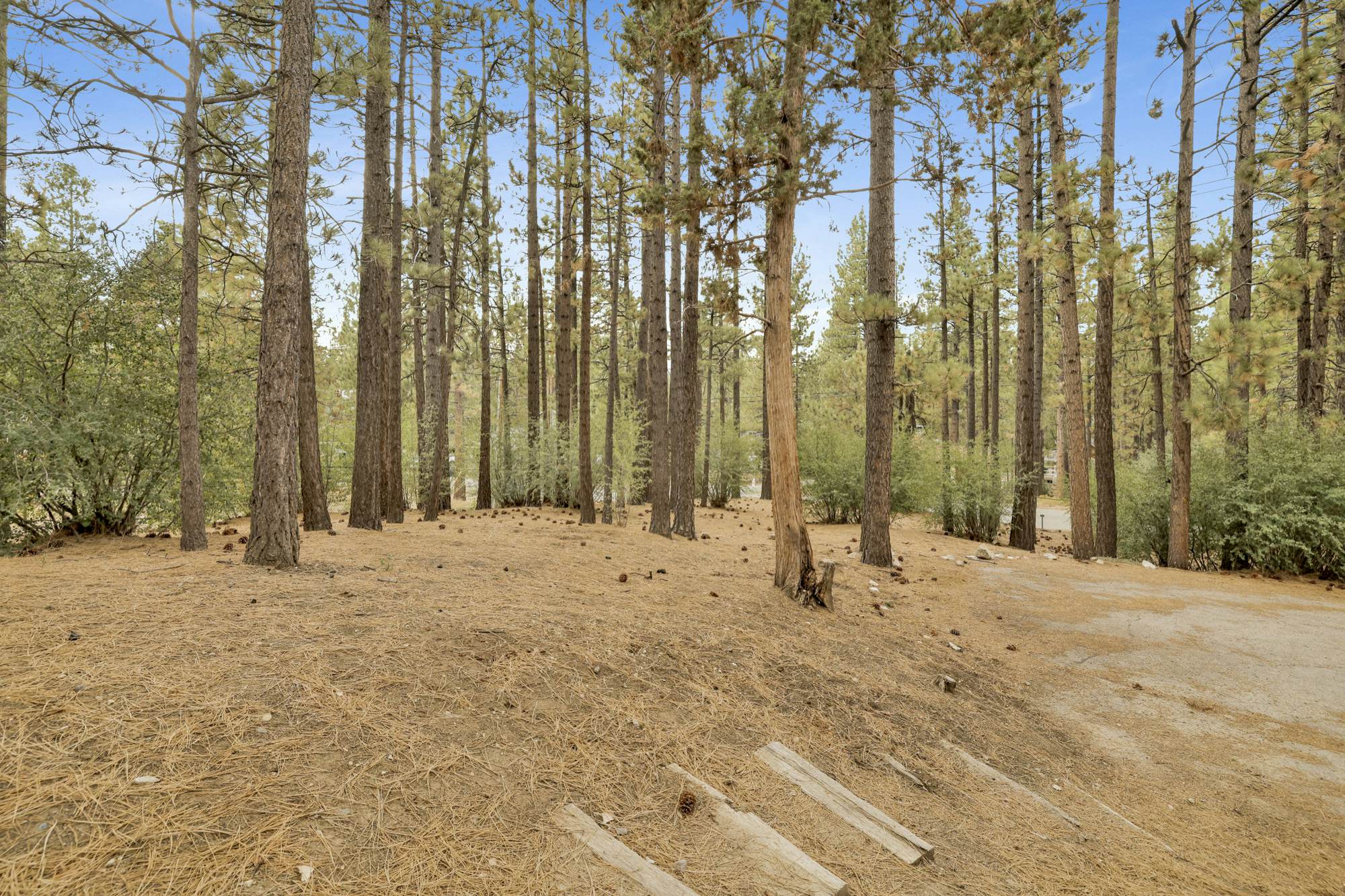 1494-Living Log Cabin