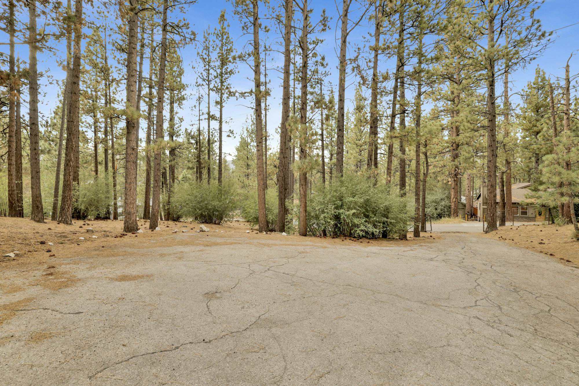 1494-Living Log Cabin