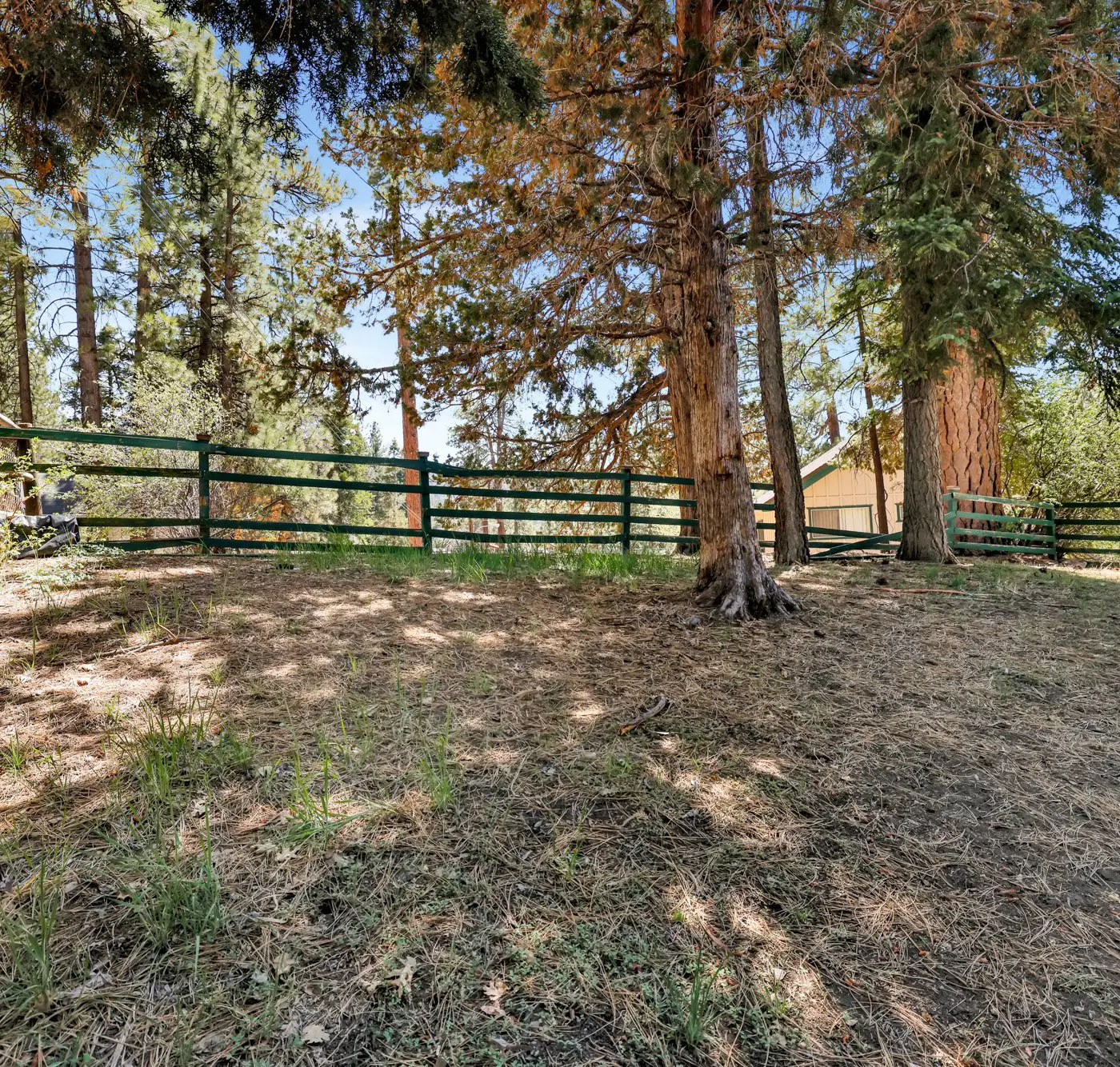 1574-Three Bears Cabin
