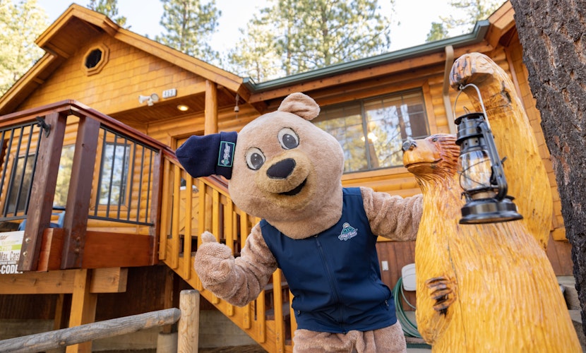 Retreat To Fox Farm Central Log Cabin Chalet at Big Bear